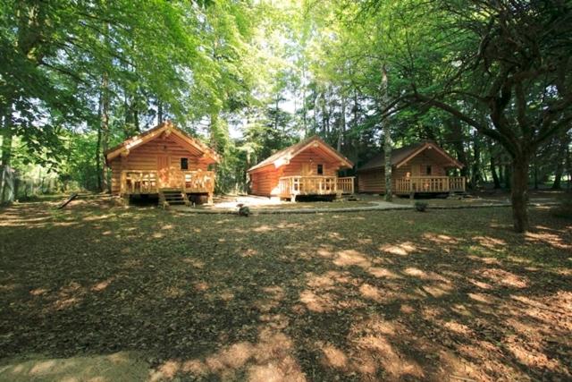 Chalet - Photo 19
