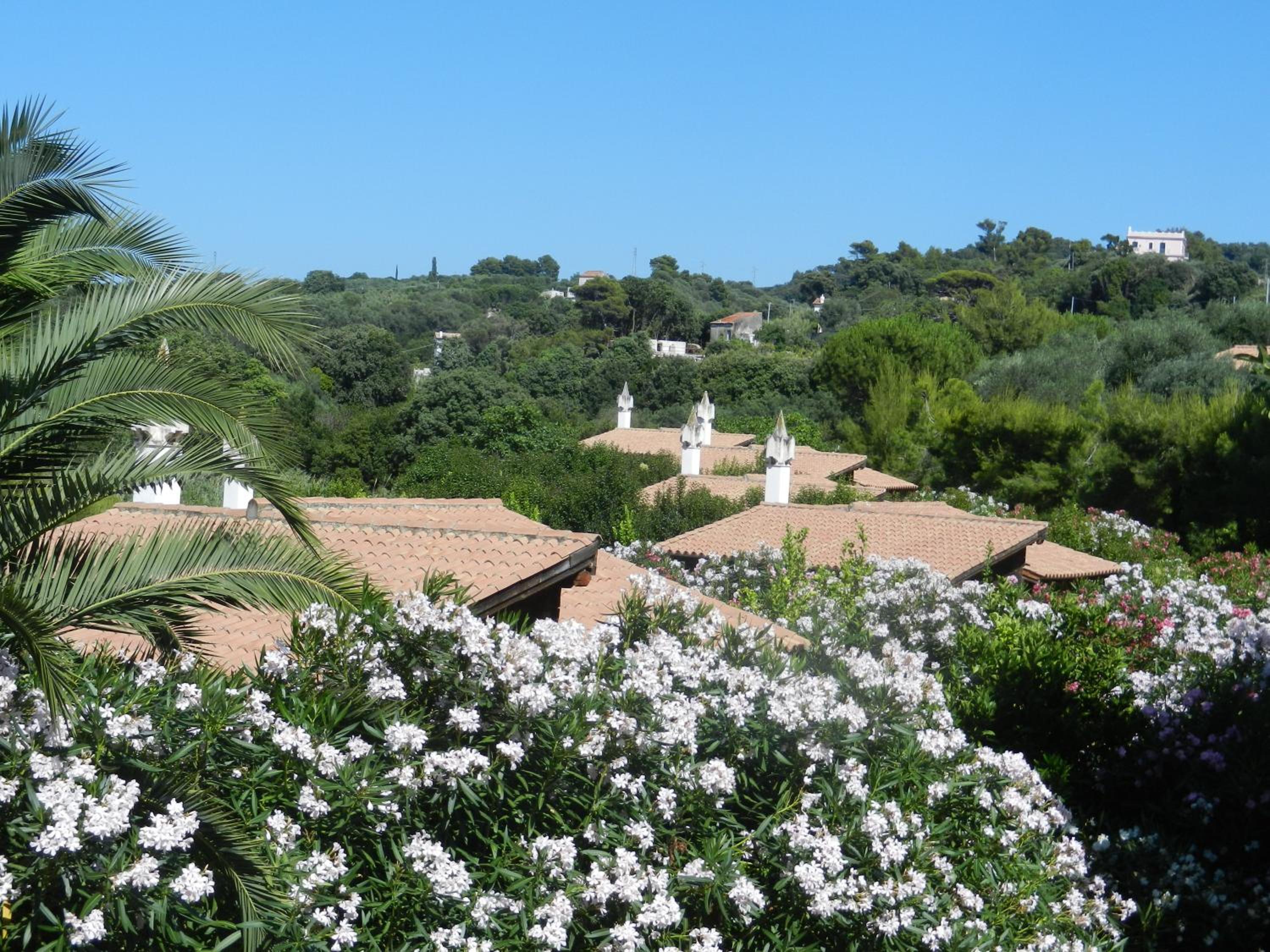 Superior Villa - Photo 8