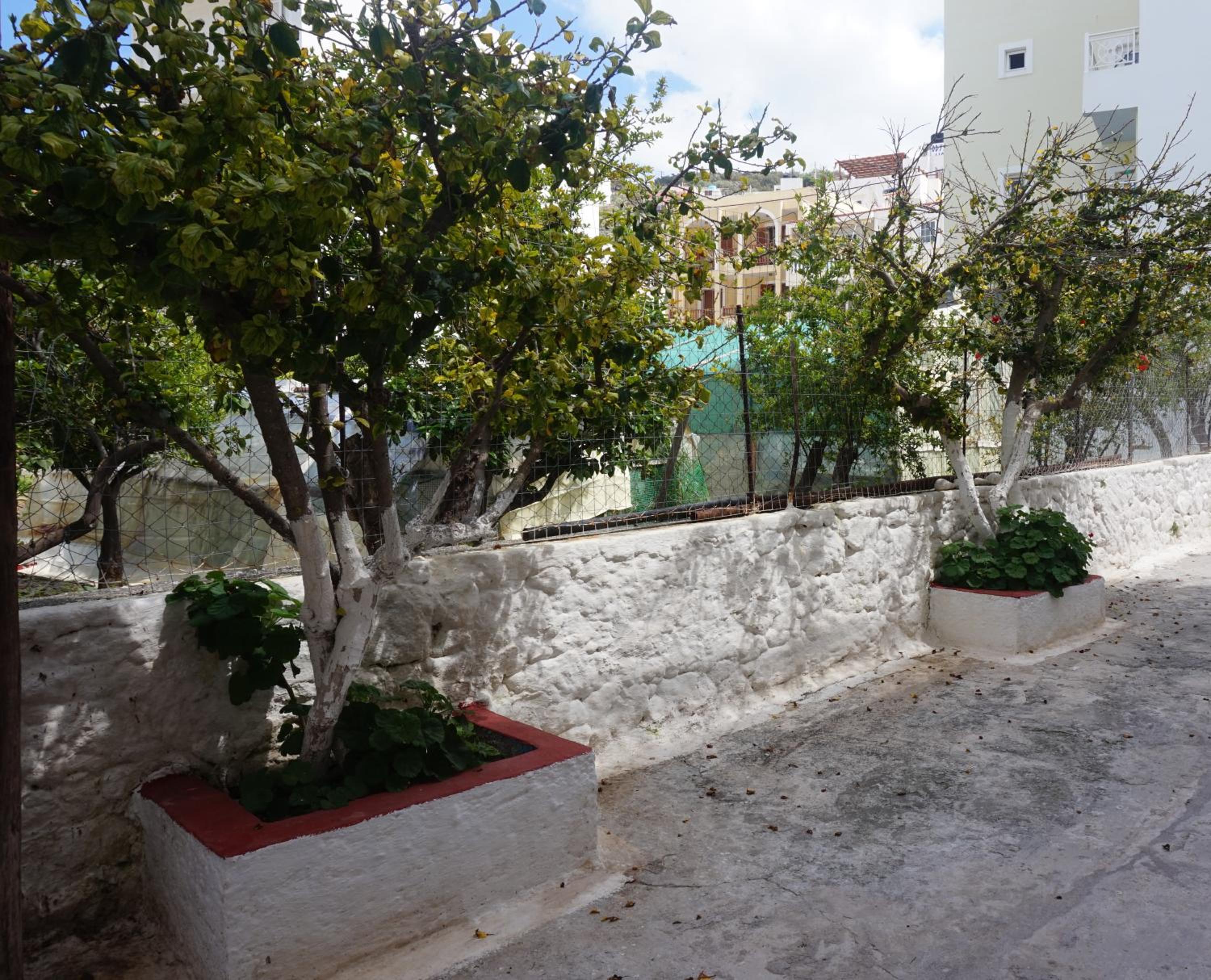 Studio Apartment with Sea View photo 3