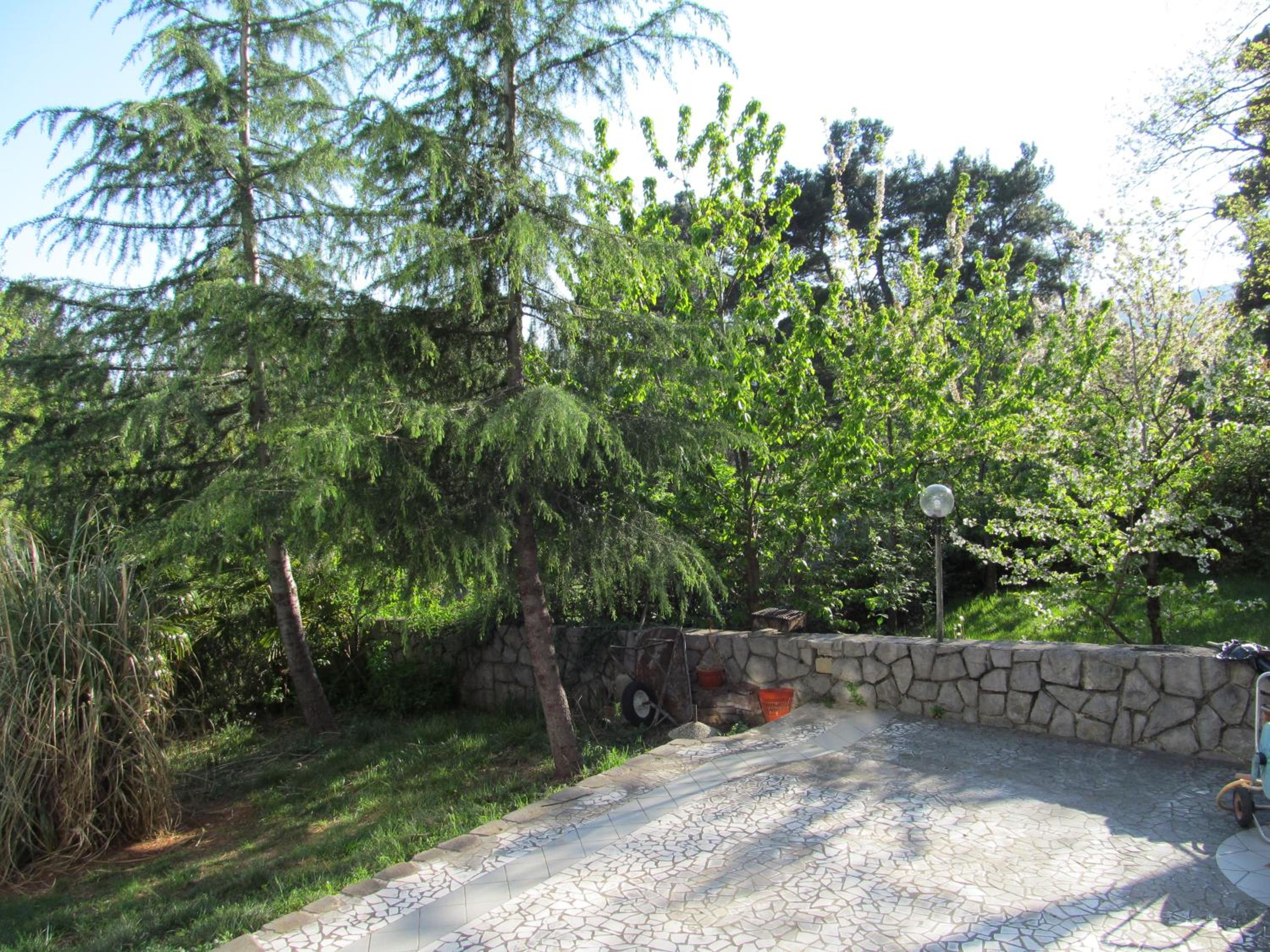 Apartment - Ground Floor - Photo 4