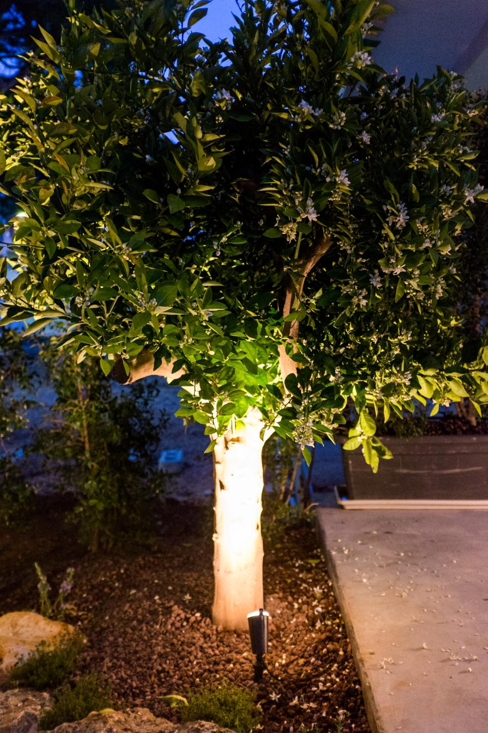 Apartment - Photo 42