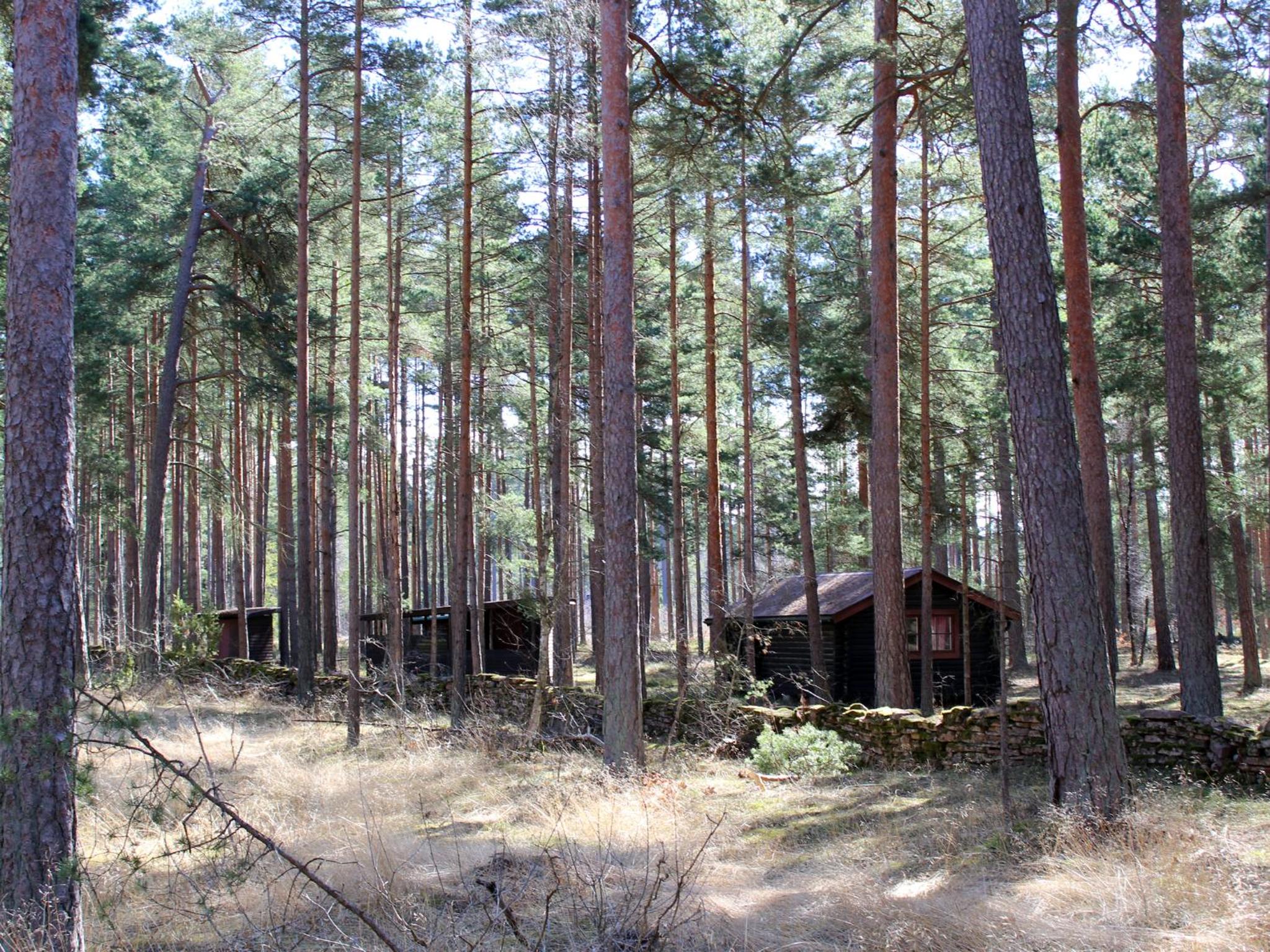 Cottage photo 3