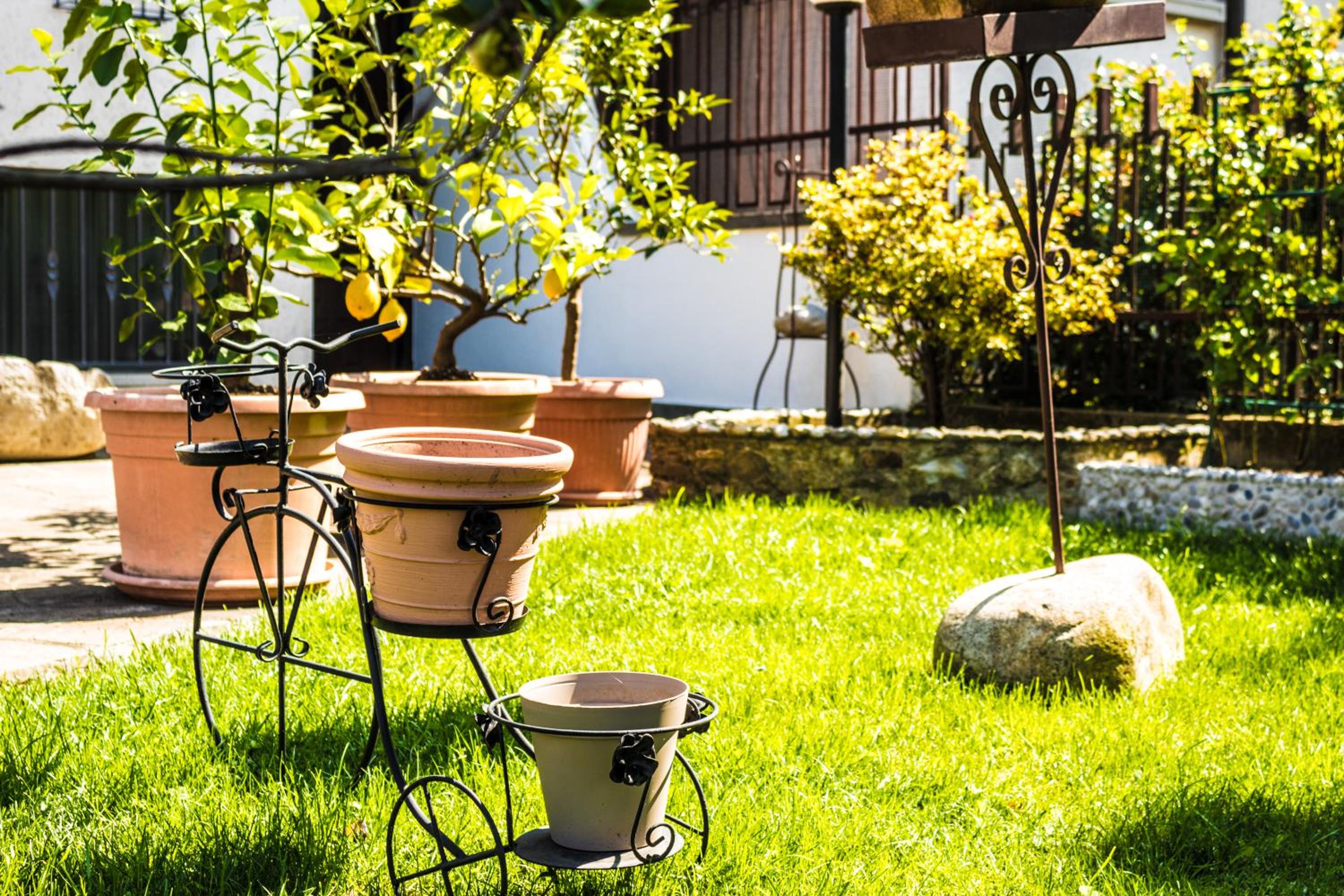 Apartment with Garden View - Photo 10