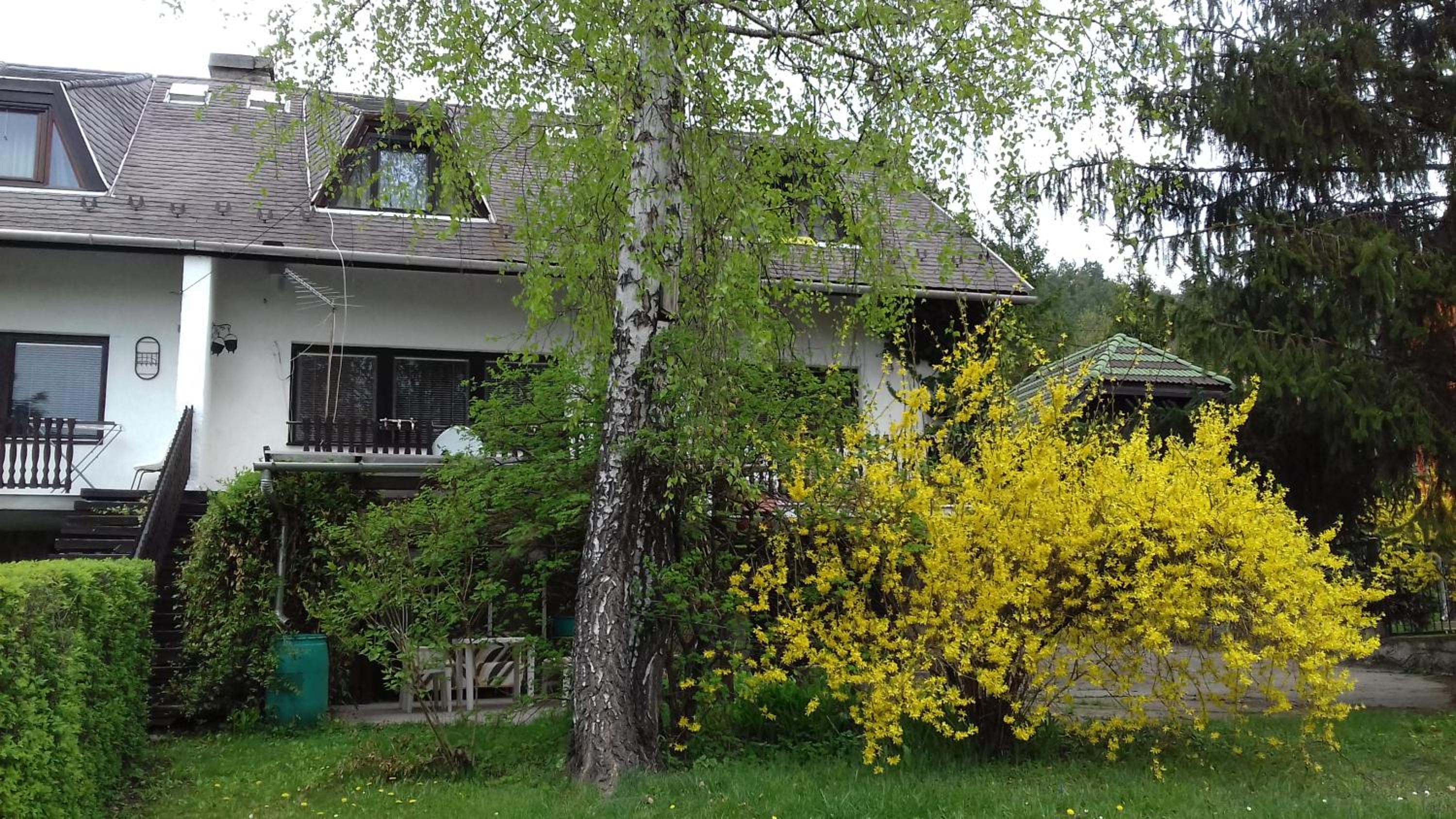 Apartment with Mountain View - Photo 25