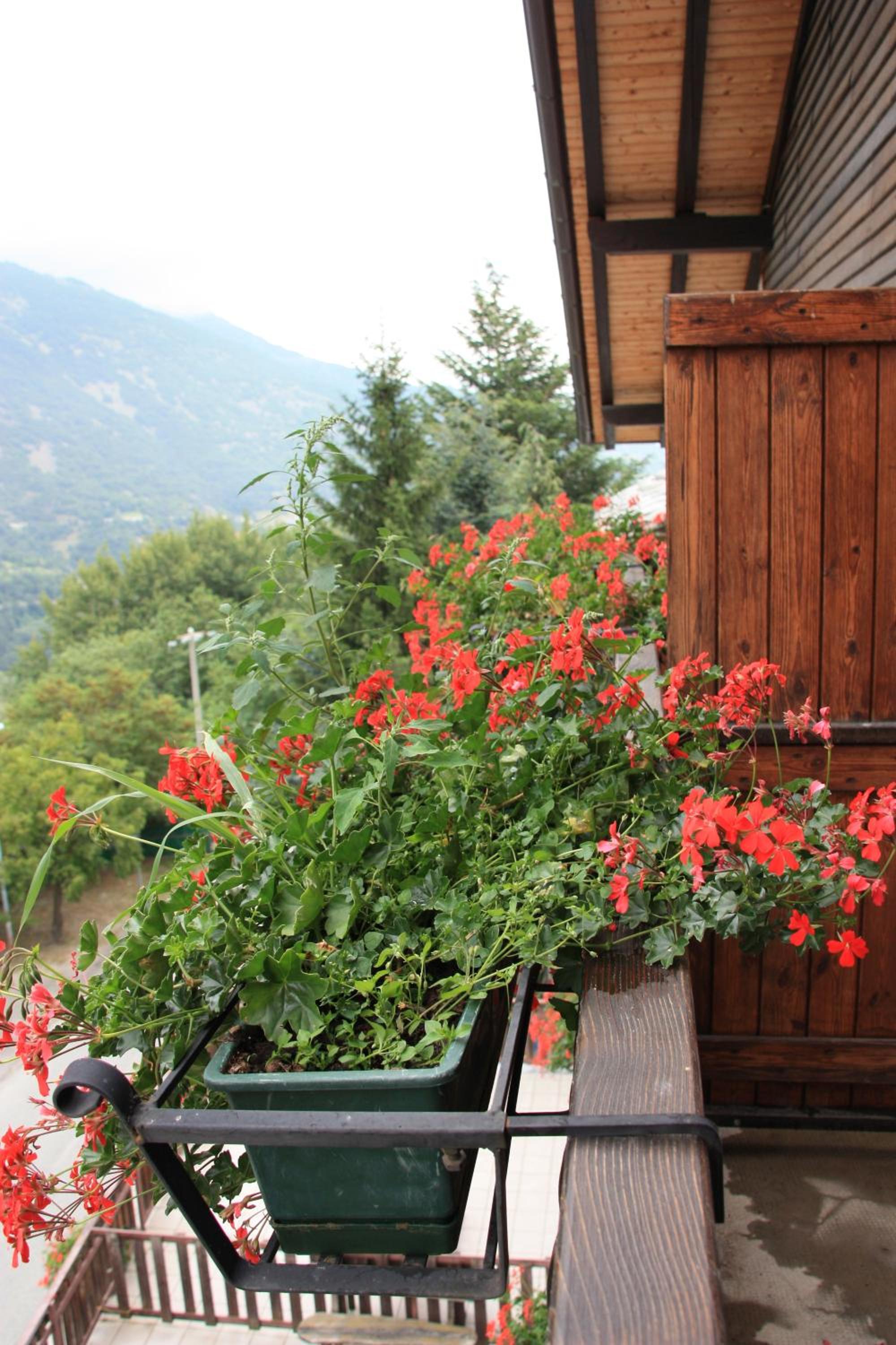 Triple Room with Balcony photo 3