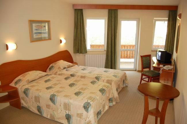 Twin Room with Balcony photo 1
