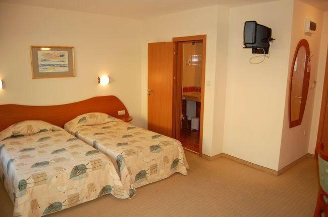 Twin Room with Balcony photo 2