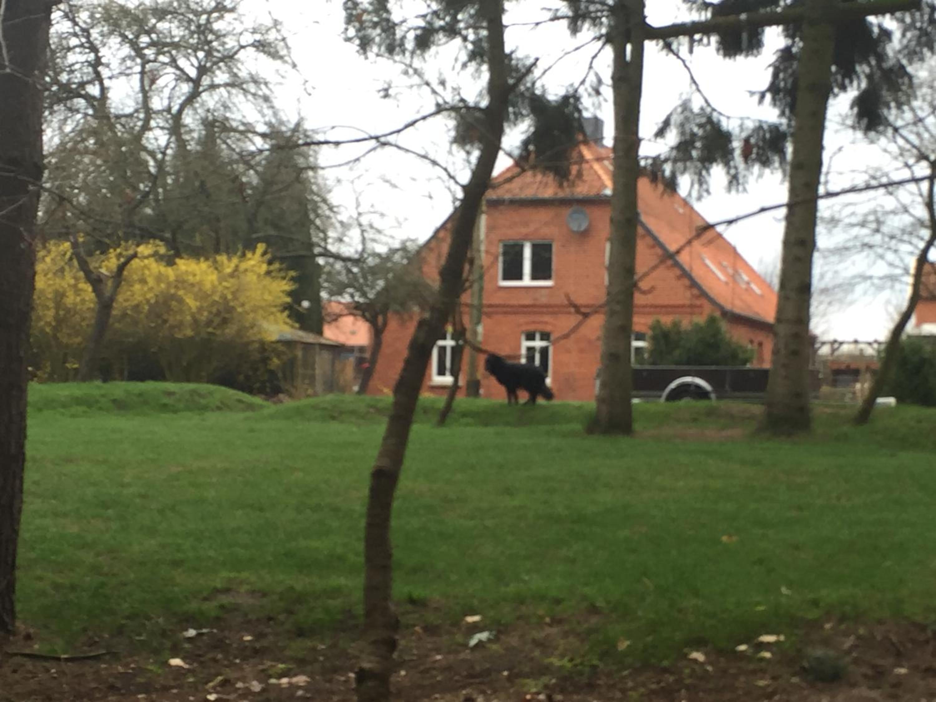 Apartment with Garden View - Photo 10