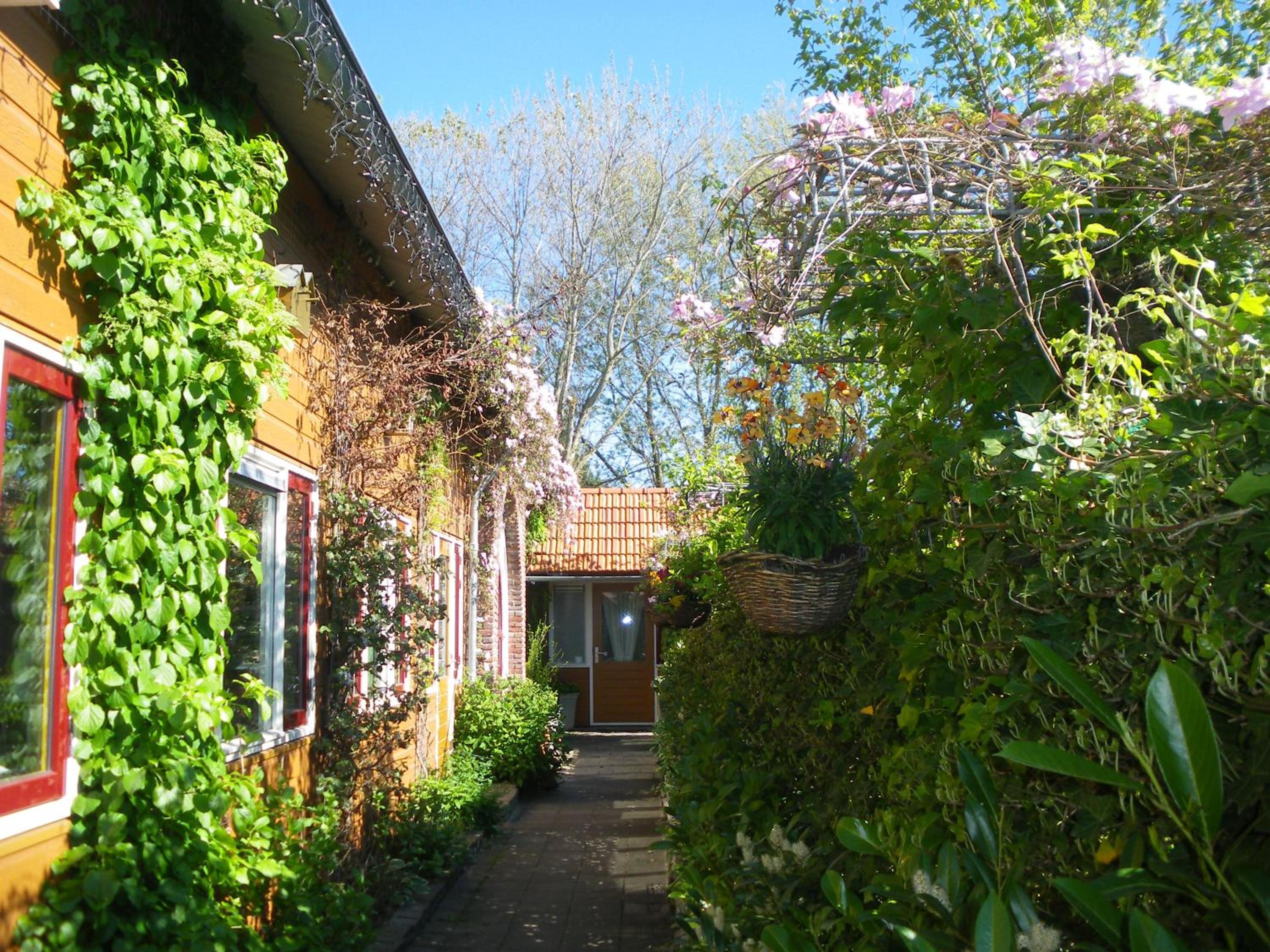 Apartment with Garden View photo 3