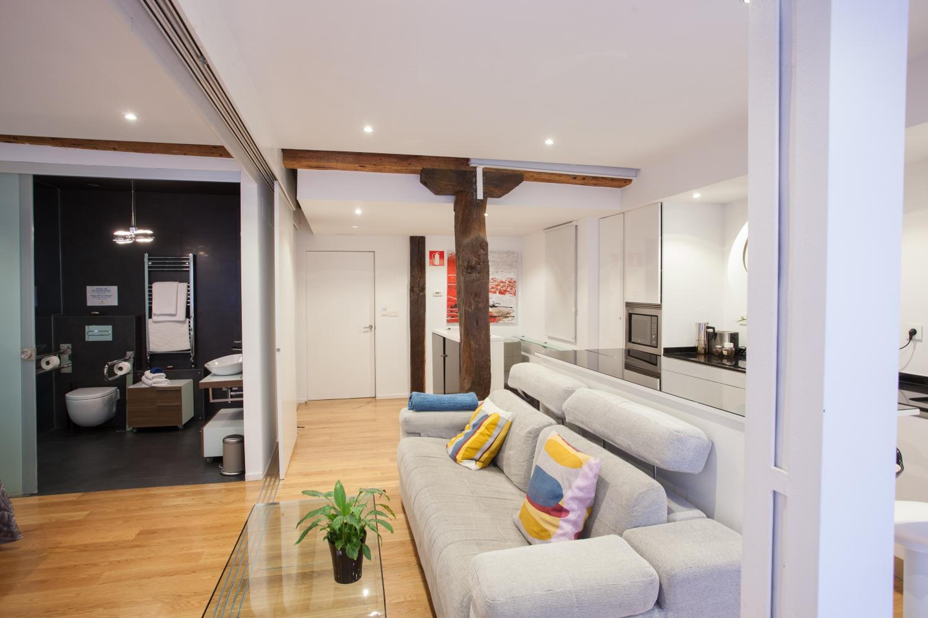 Superior One-Bedroom Apartment - Calle Hernan N*9 - Photo 10