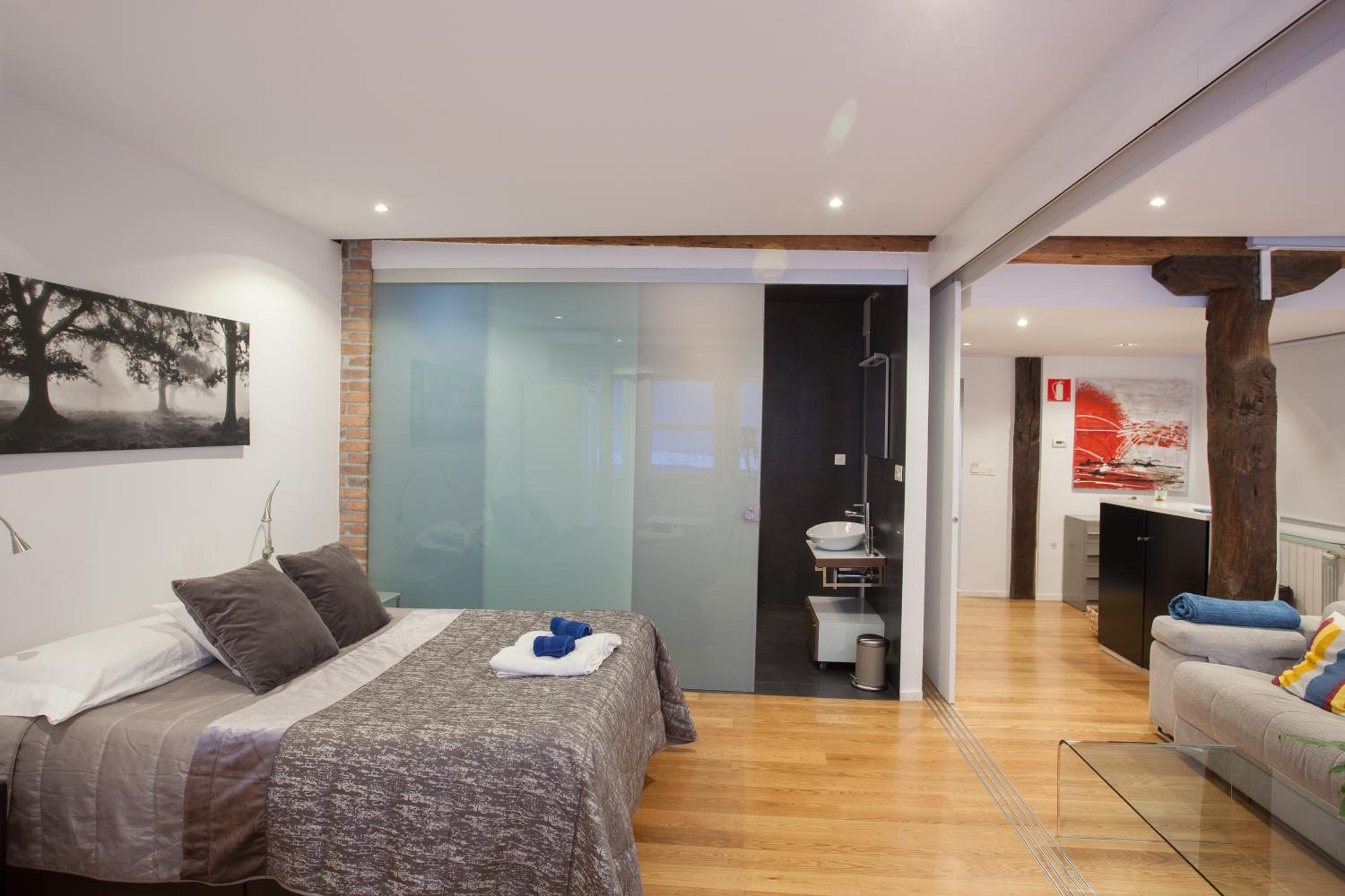 Superior One-Bedroom Apartment - Calle Hernan N*9 - Photo 23