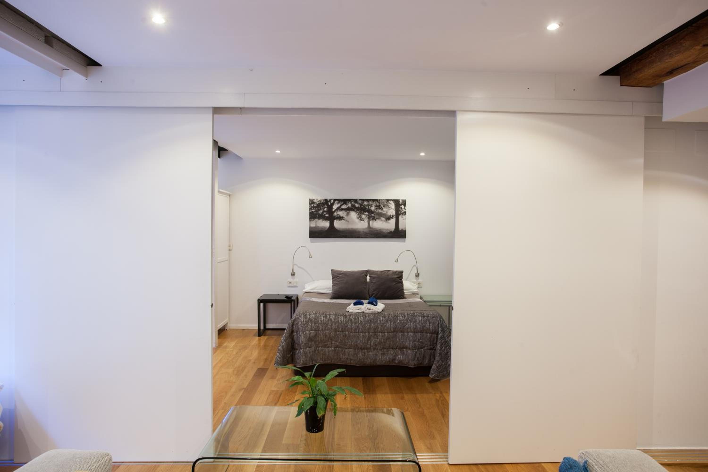 Superior One-Bedroom Apartment - Calle Hernan N*9 - Photo 24