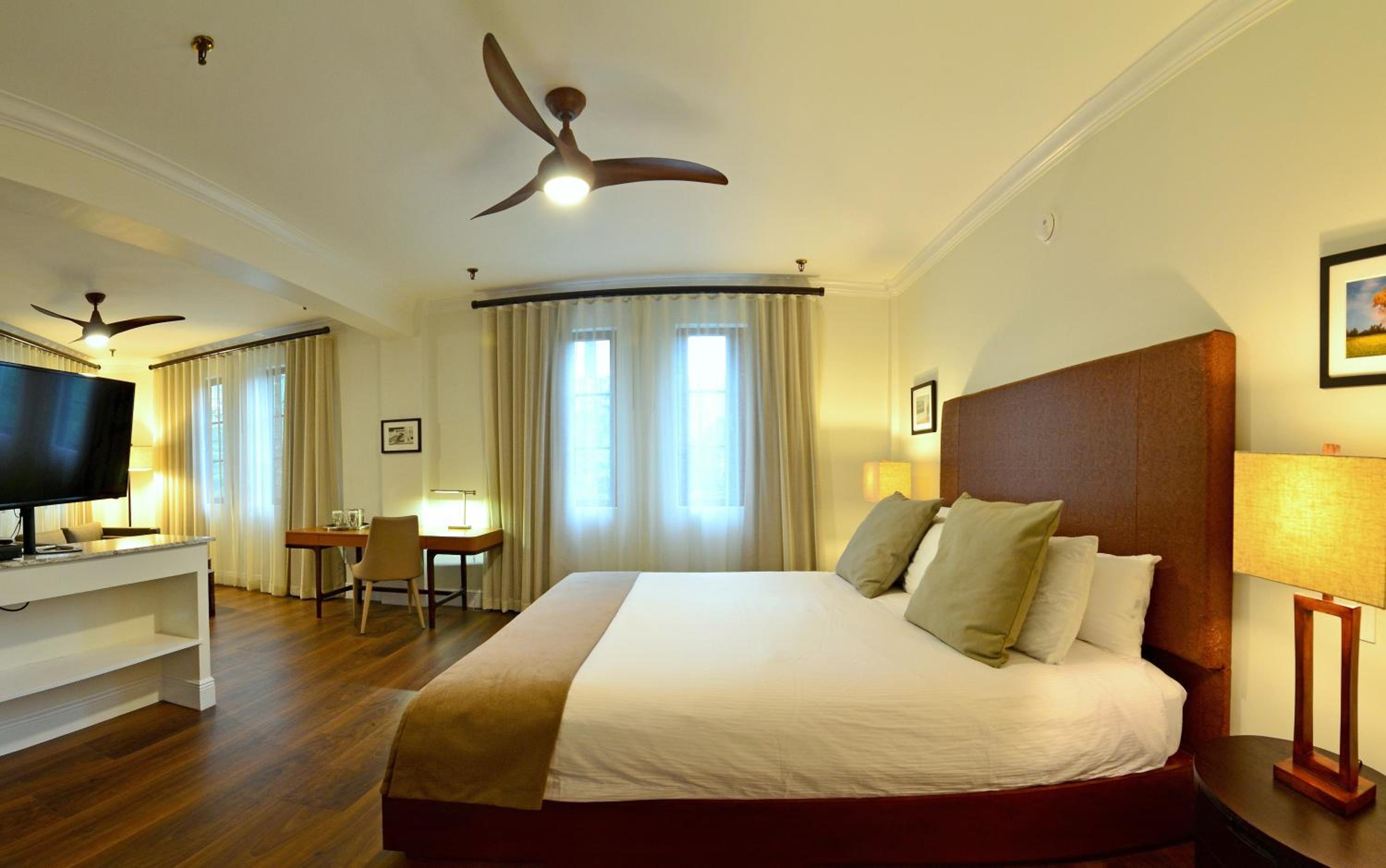 King Suite photo 2