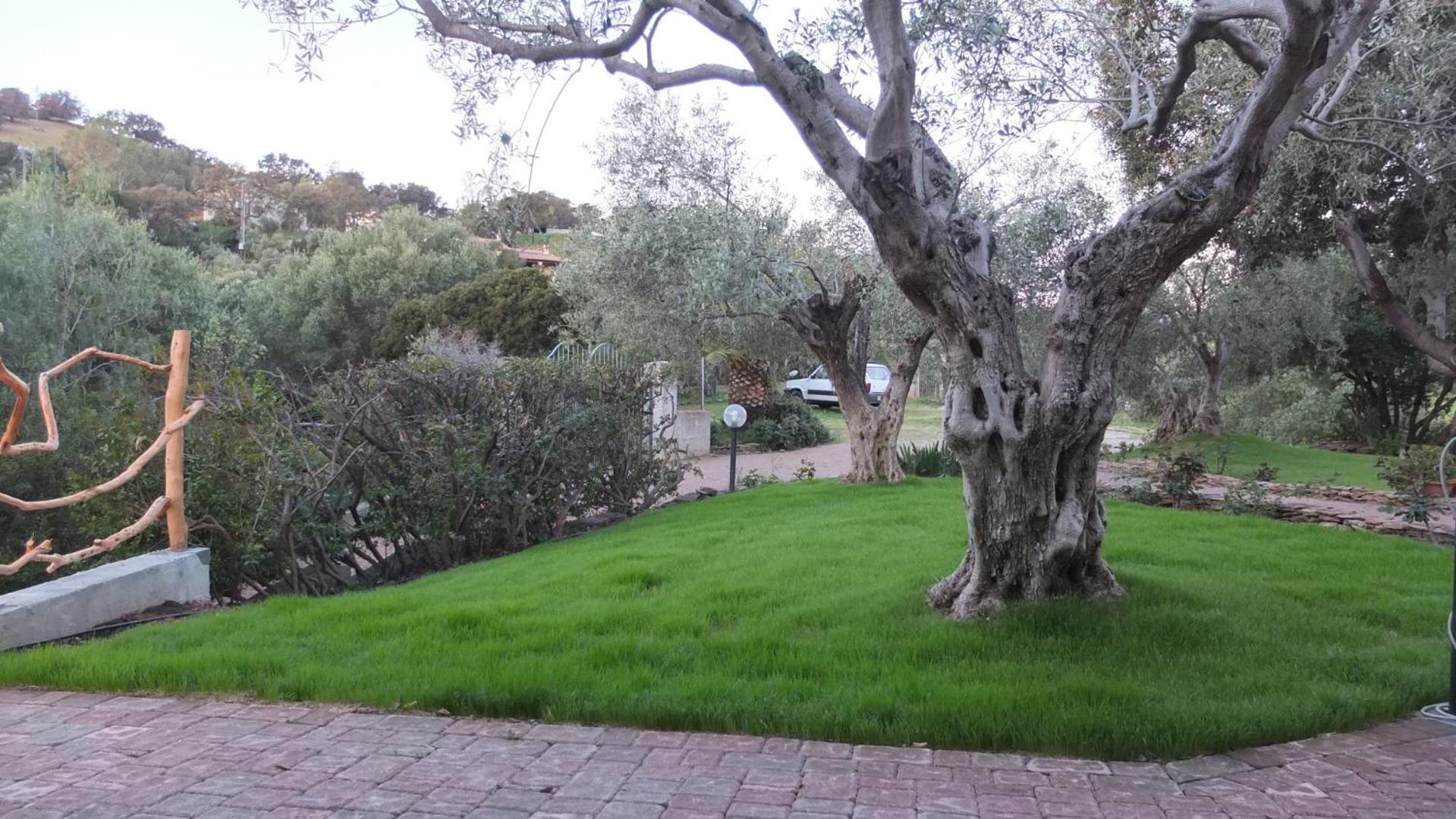 Triple Room with Garden View photo 3