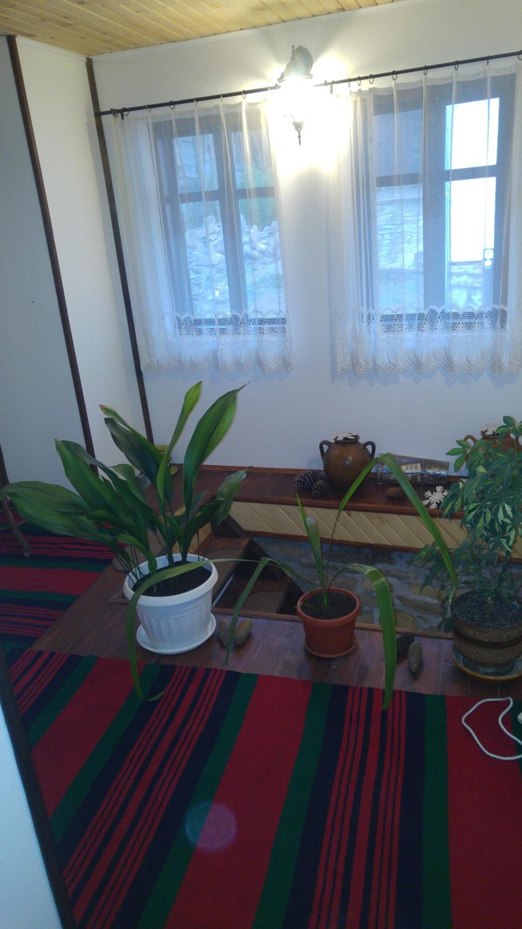 Four-Bedroom House photo 2