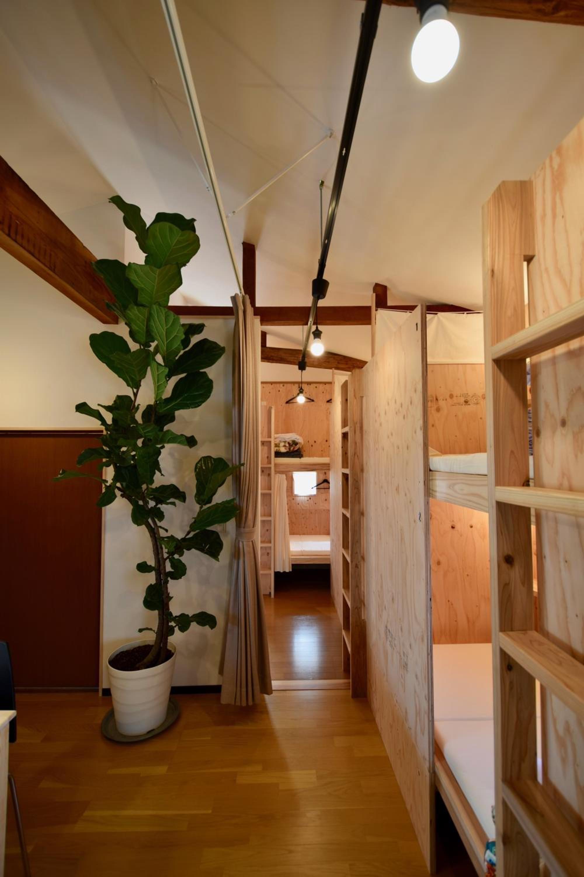 Bunk Bed in Mixed Dormitory Room photo 2