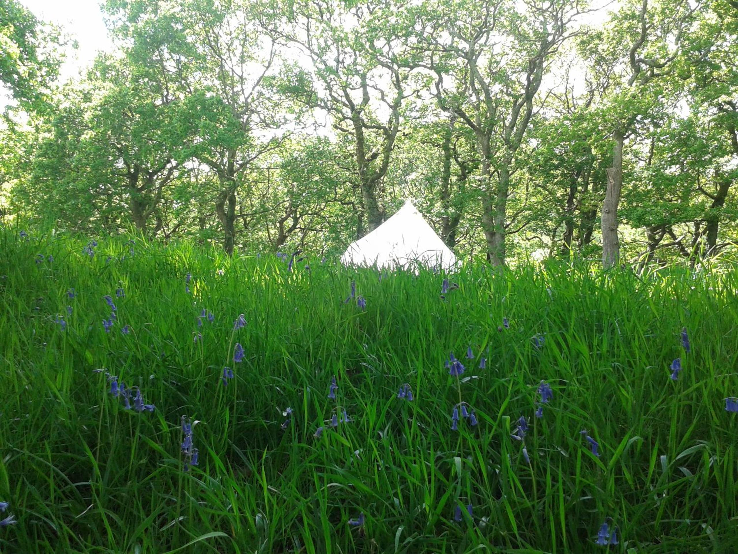 Deluxe Bell Tent photo 3