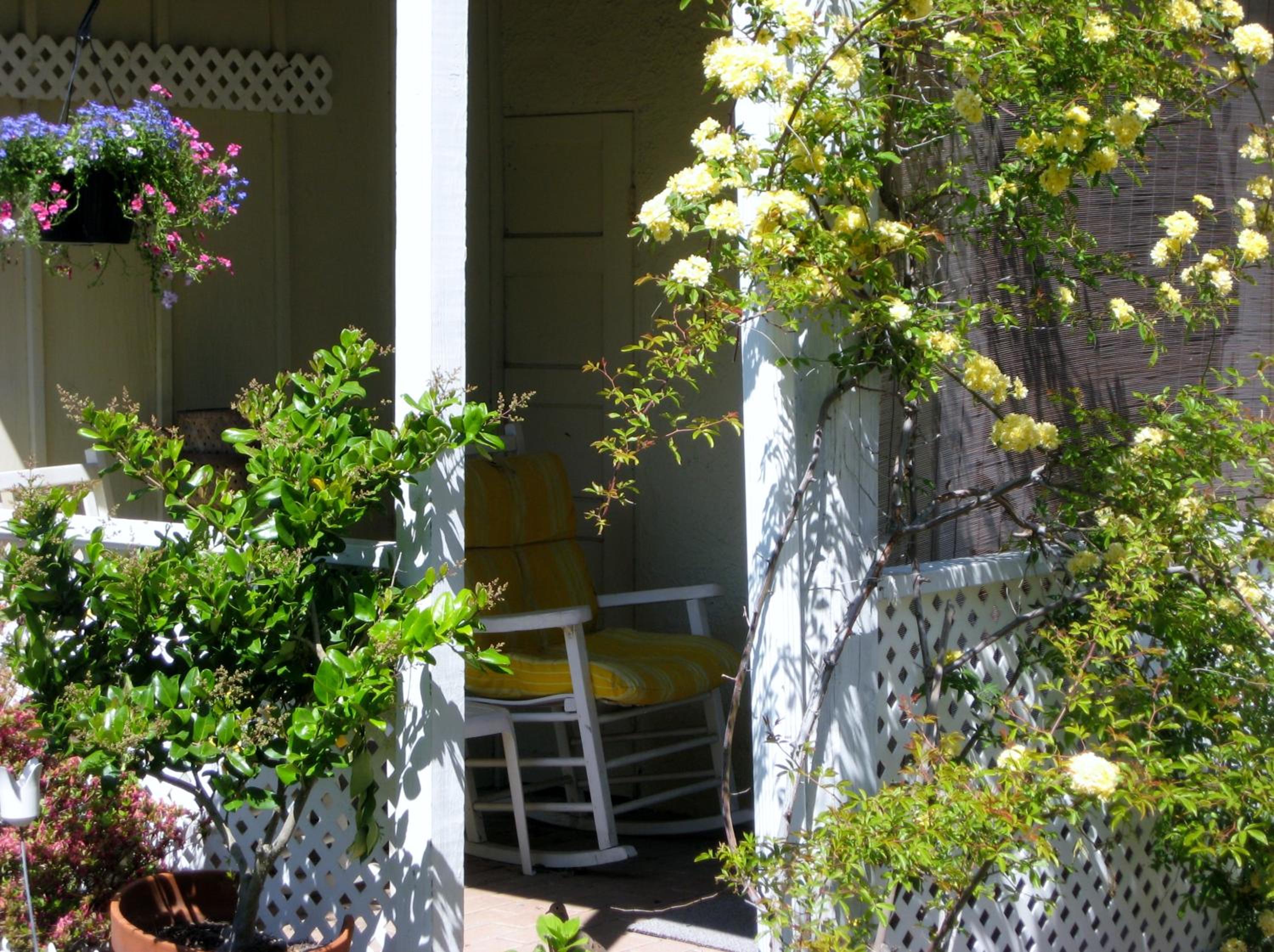Cottage The Studio photo 3