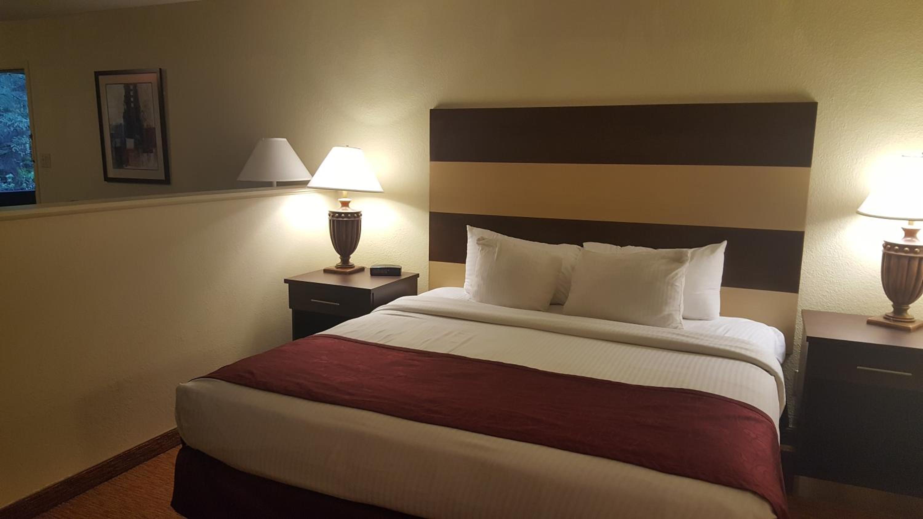 Junior Suite with Queen Bed and Sofa Bed - Non-Smoking