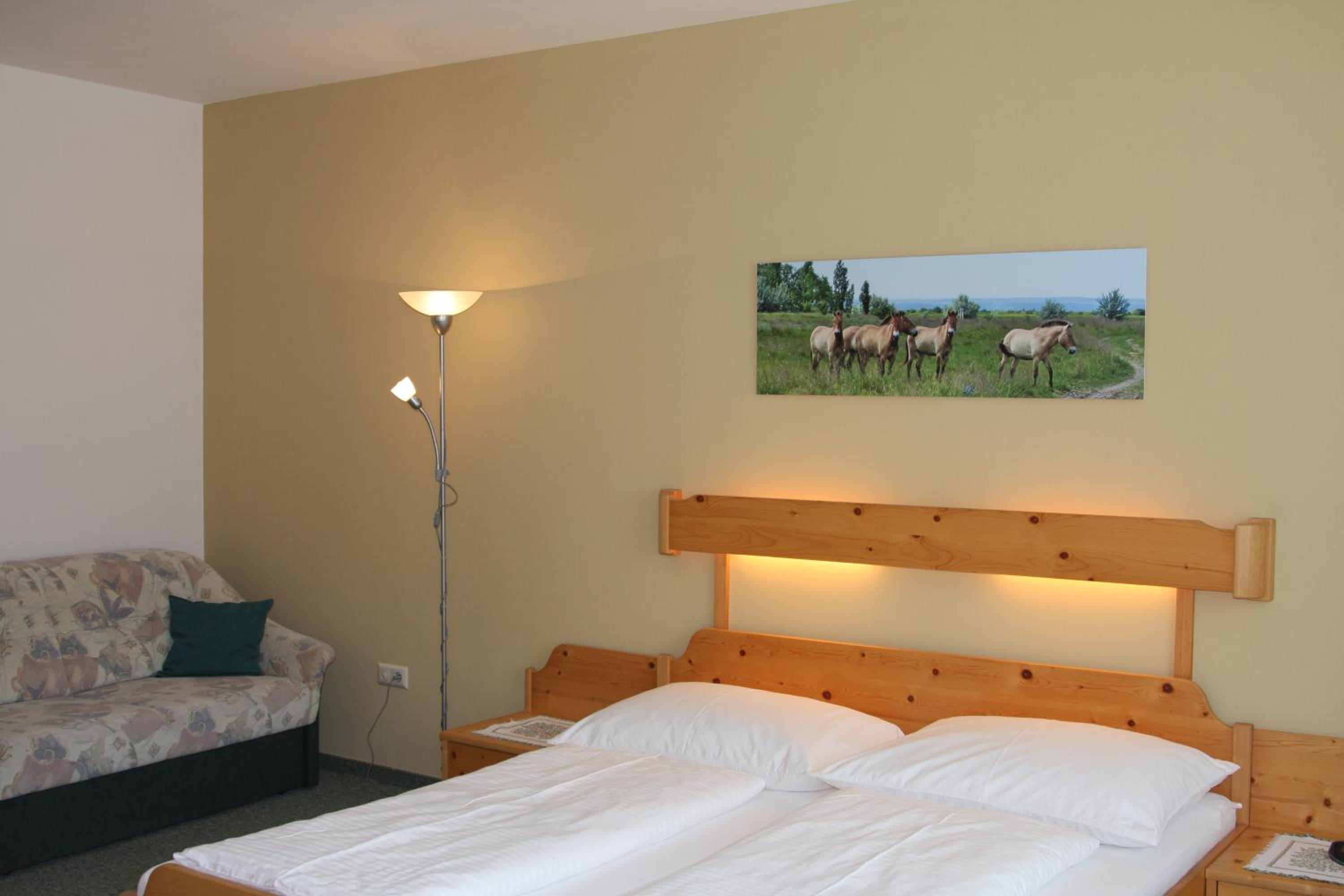 Large Double Room photo 2