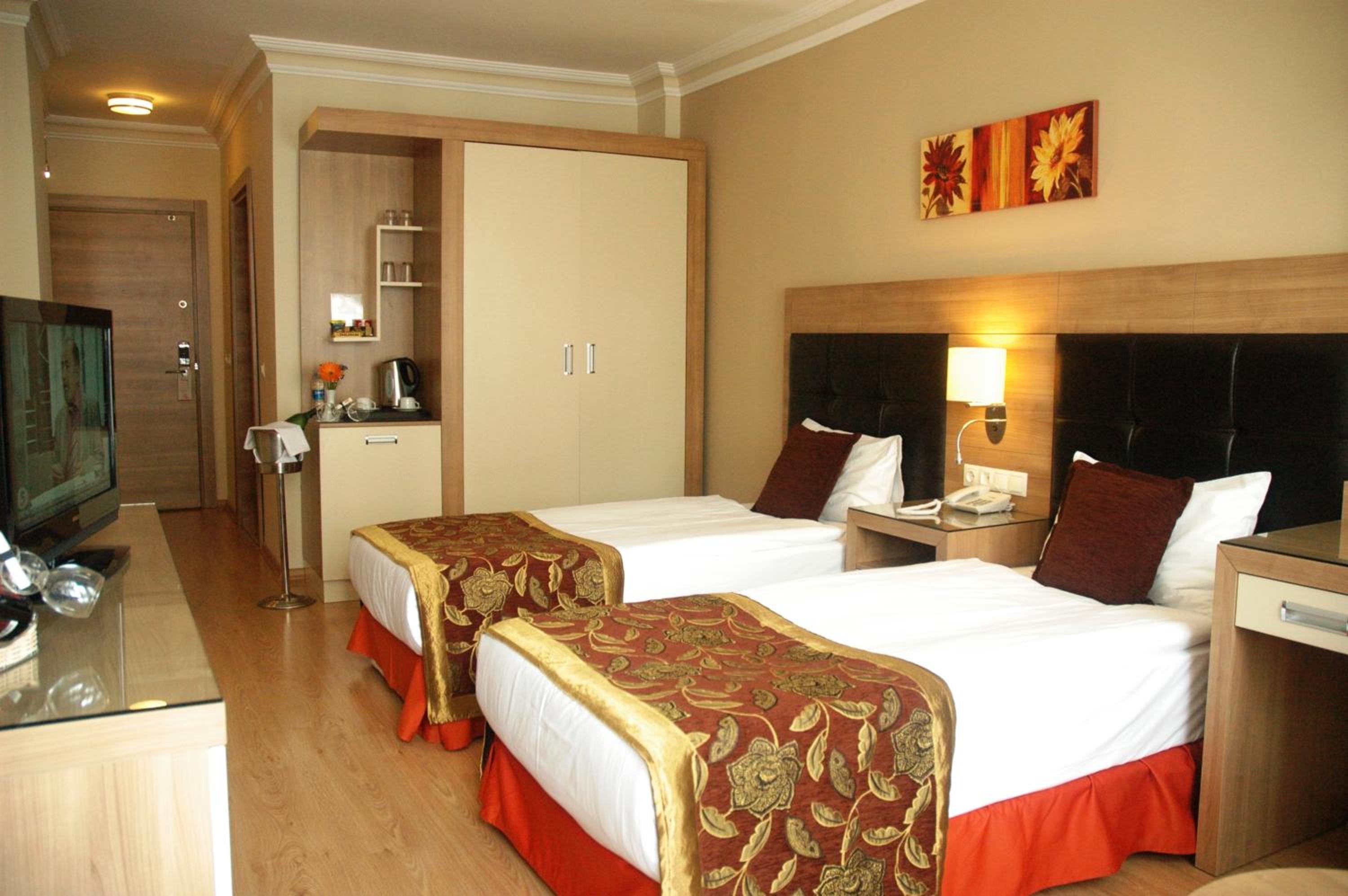 Superior Double or Twin Room - Photo 1