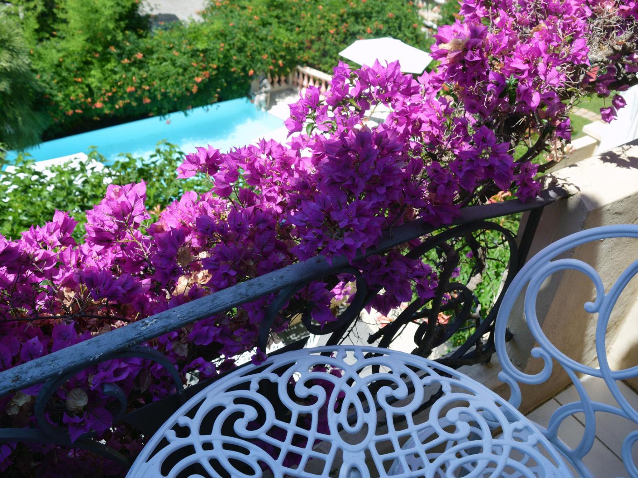 Superior Room Balcony - Photo 7