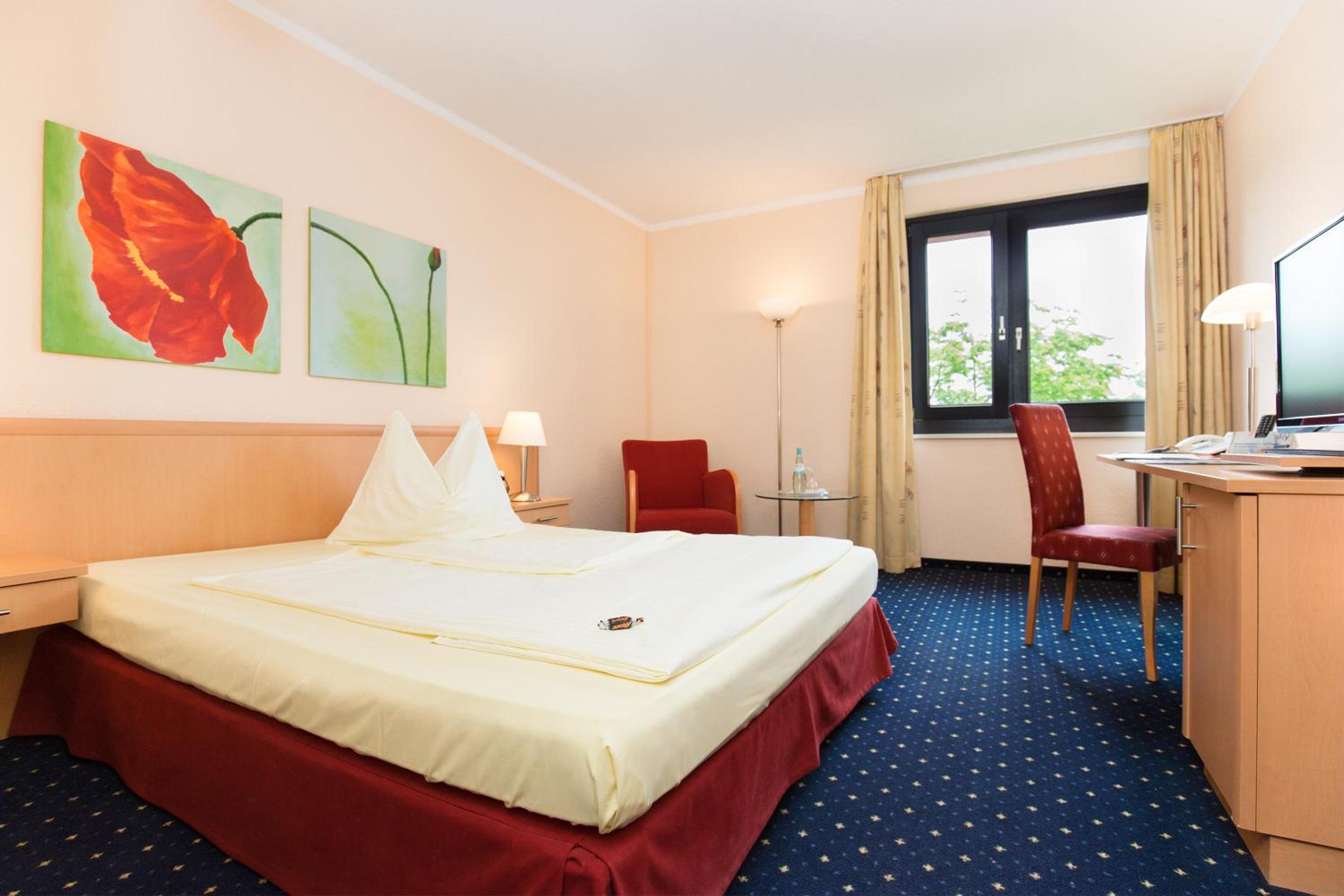 Single Room photo 1