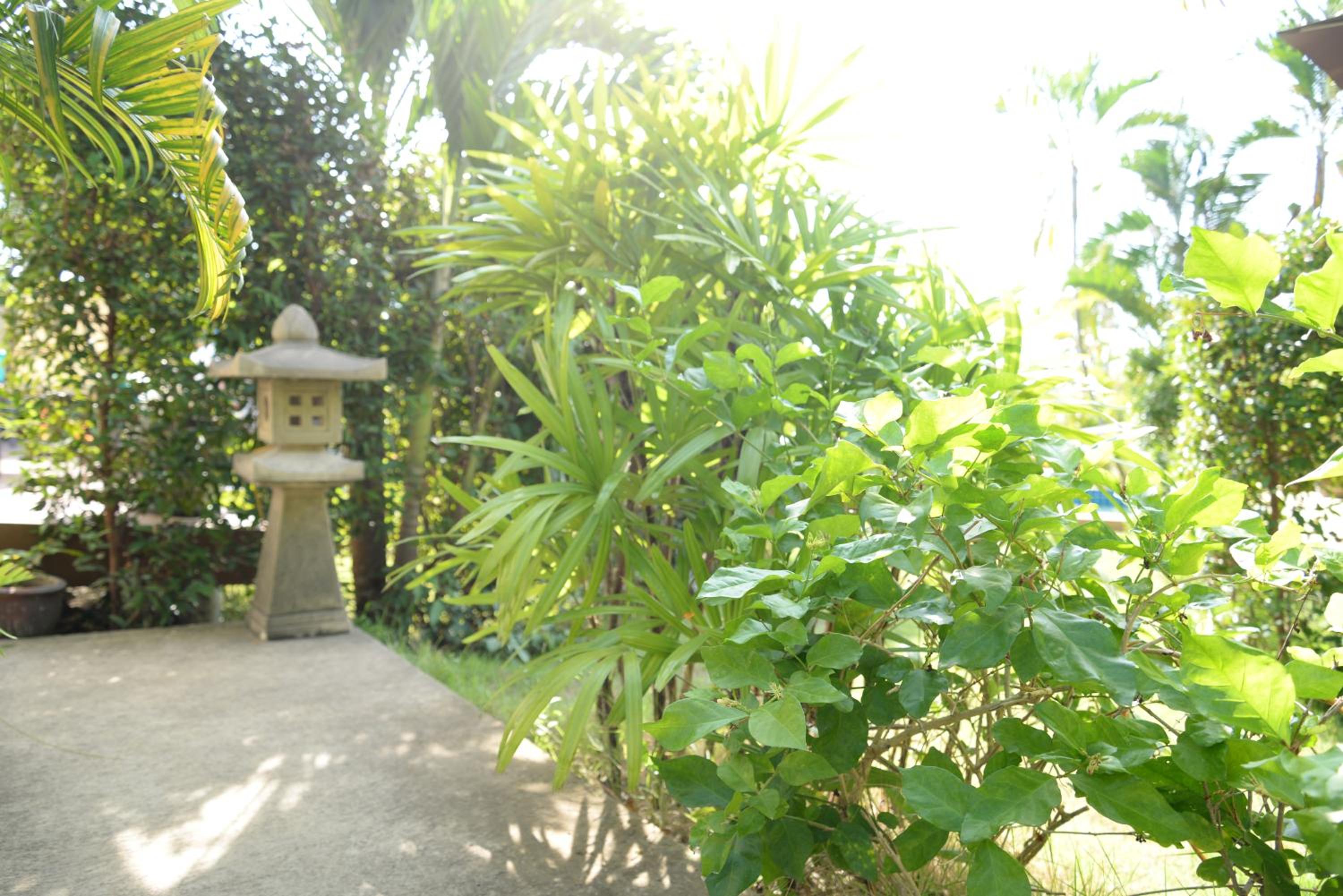 Deluxe Villa photo 2
