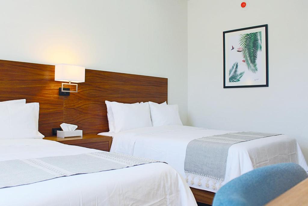 Double Room with Two Double Beds