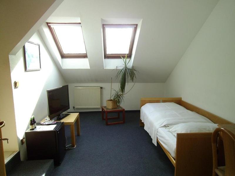 Budget Single Room