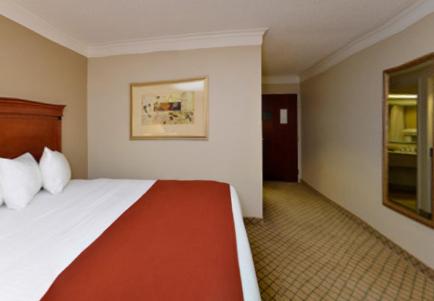 King Room - Non-Smoking - Photo 5