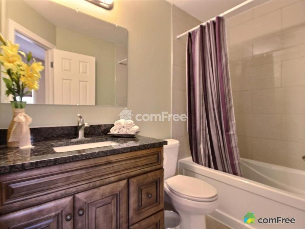 King Room photo 3