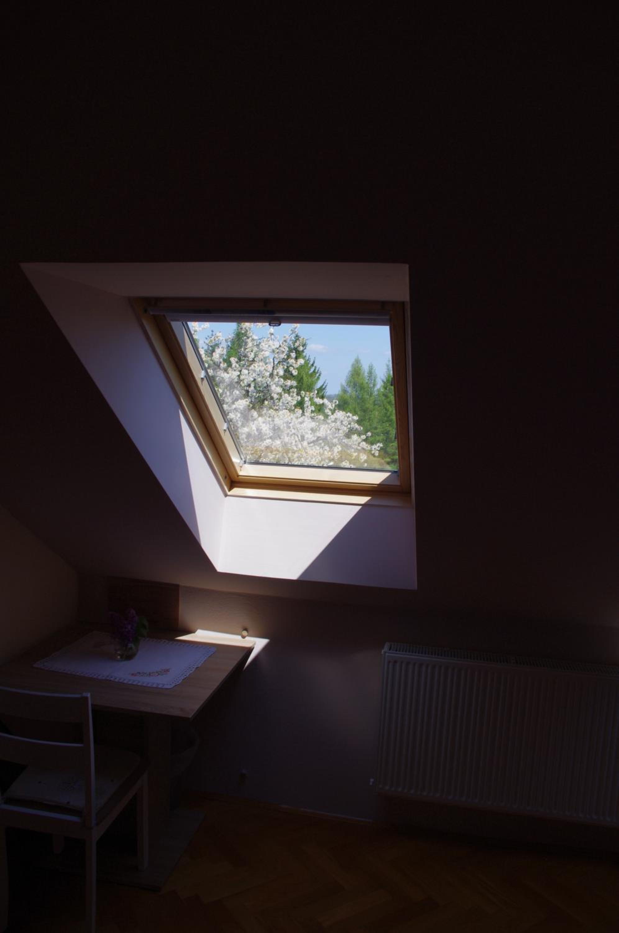 Loft - Photo 14