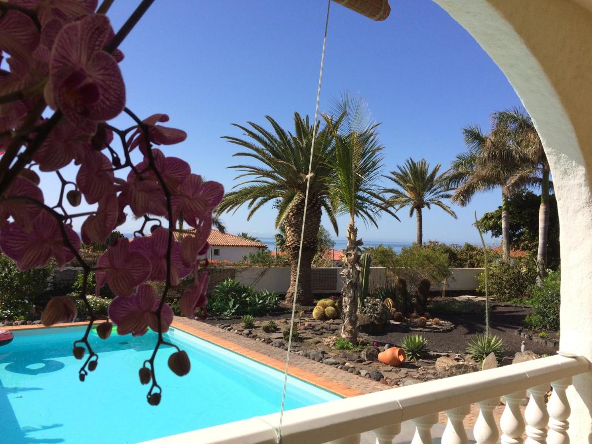 Studio Apartment with Sea View photo 3