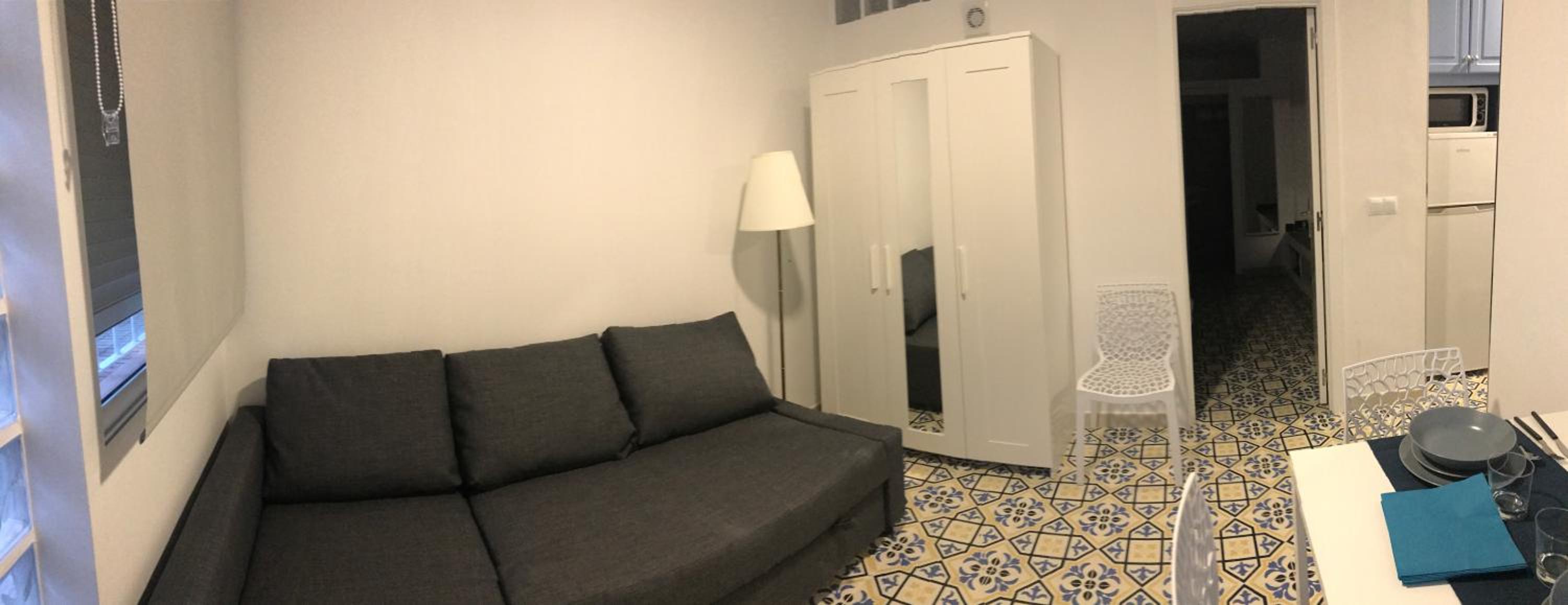 Studio Apartment photo 3
