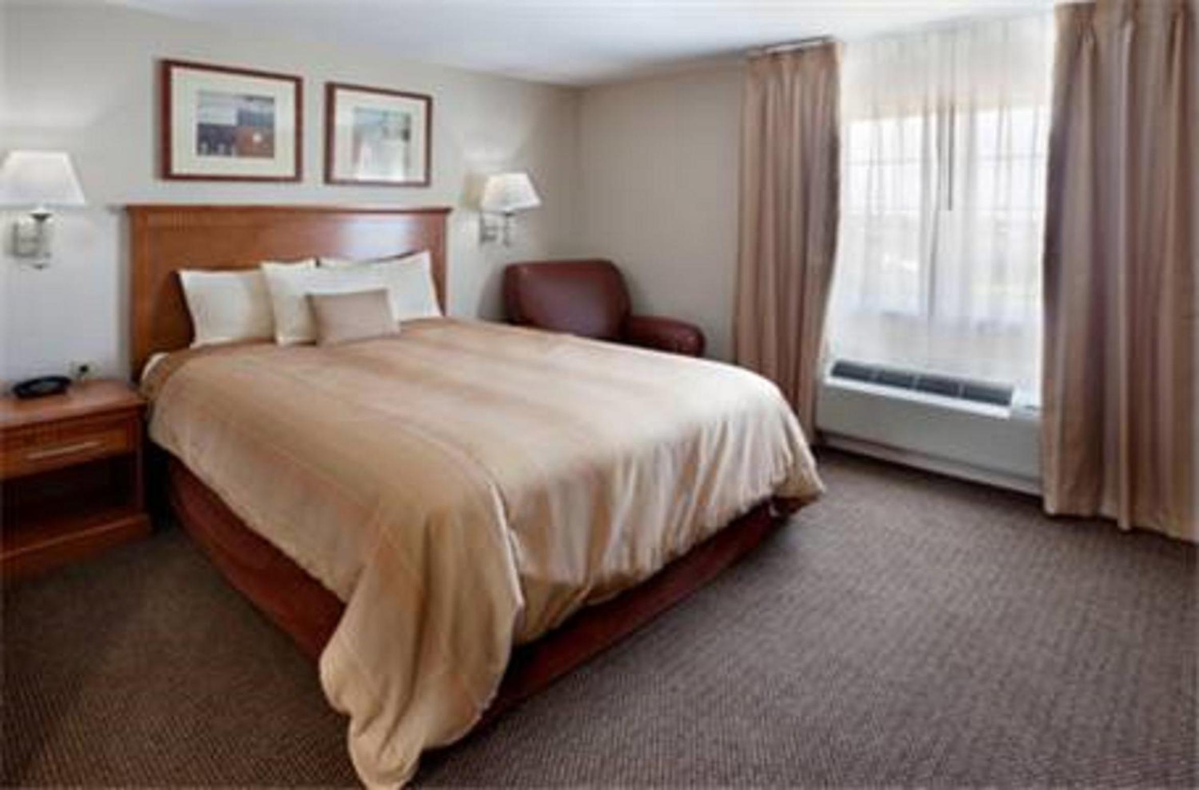 Studio Suite - Photo 1