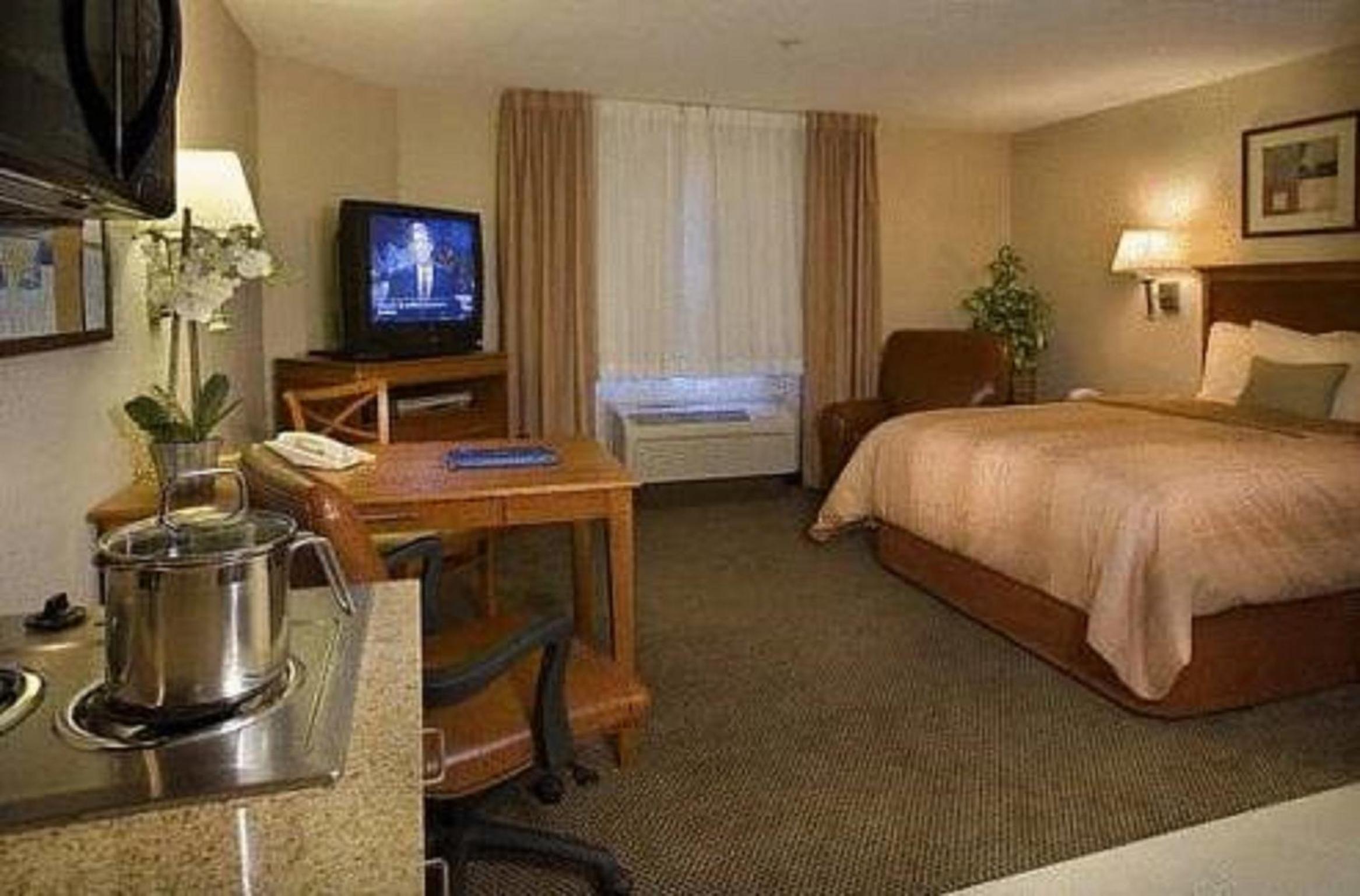 Studio Suite - Photo 3