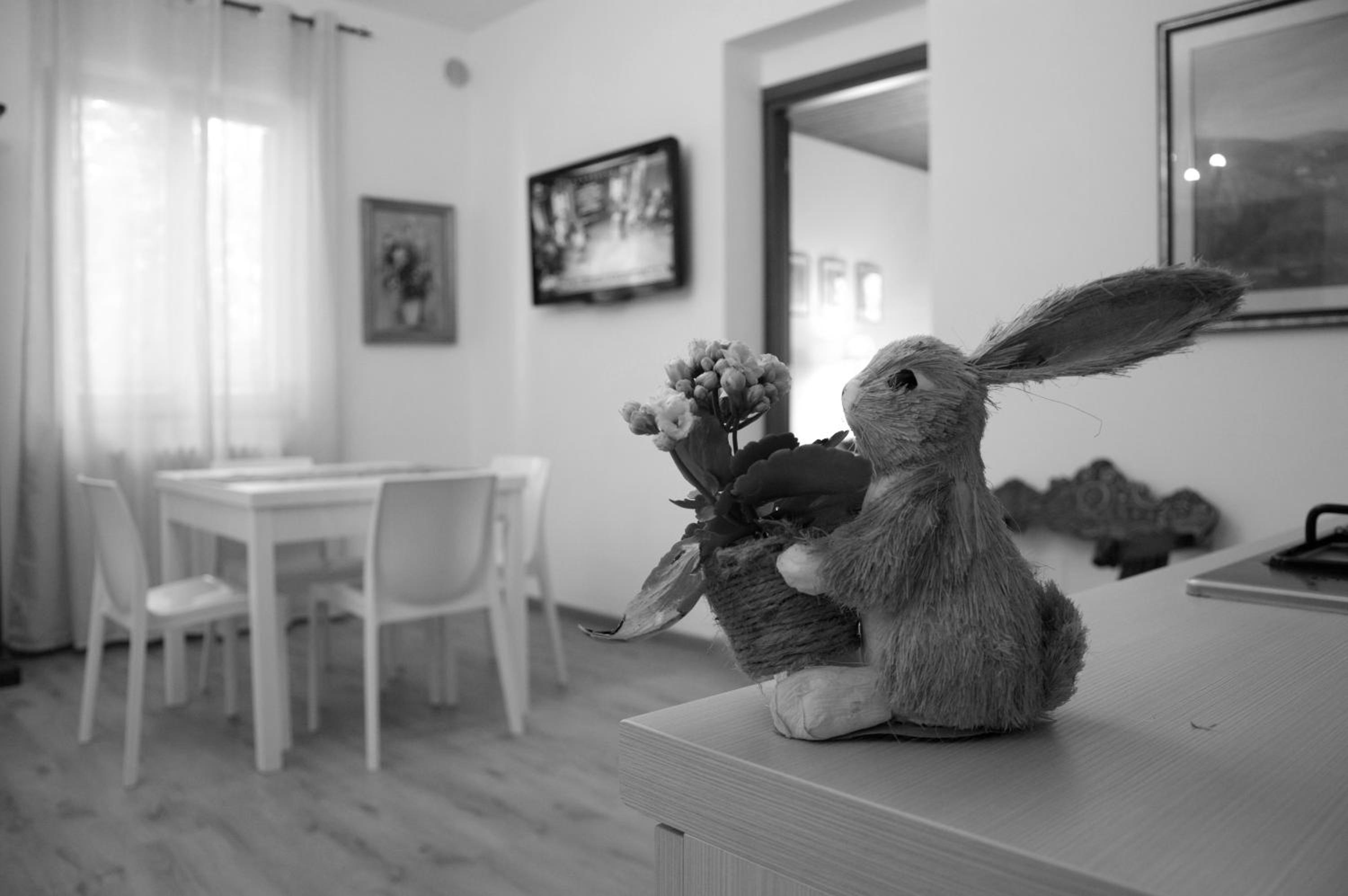 Deluxe Apartment - Photo 9