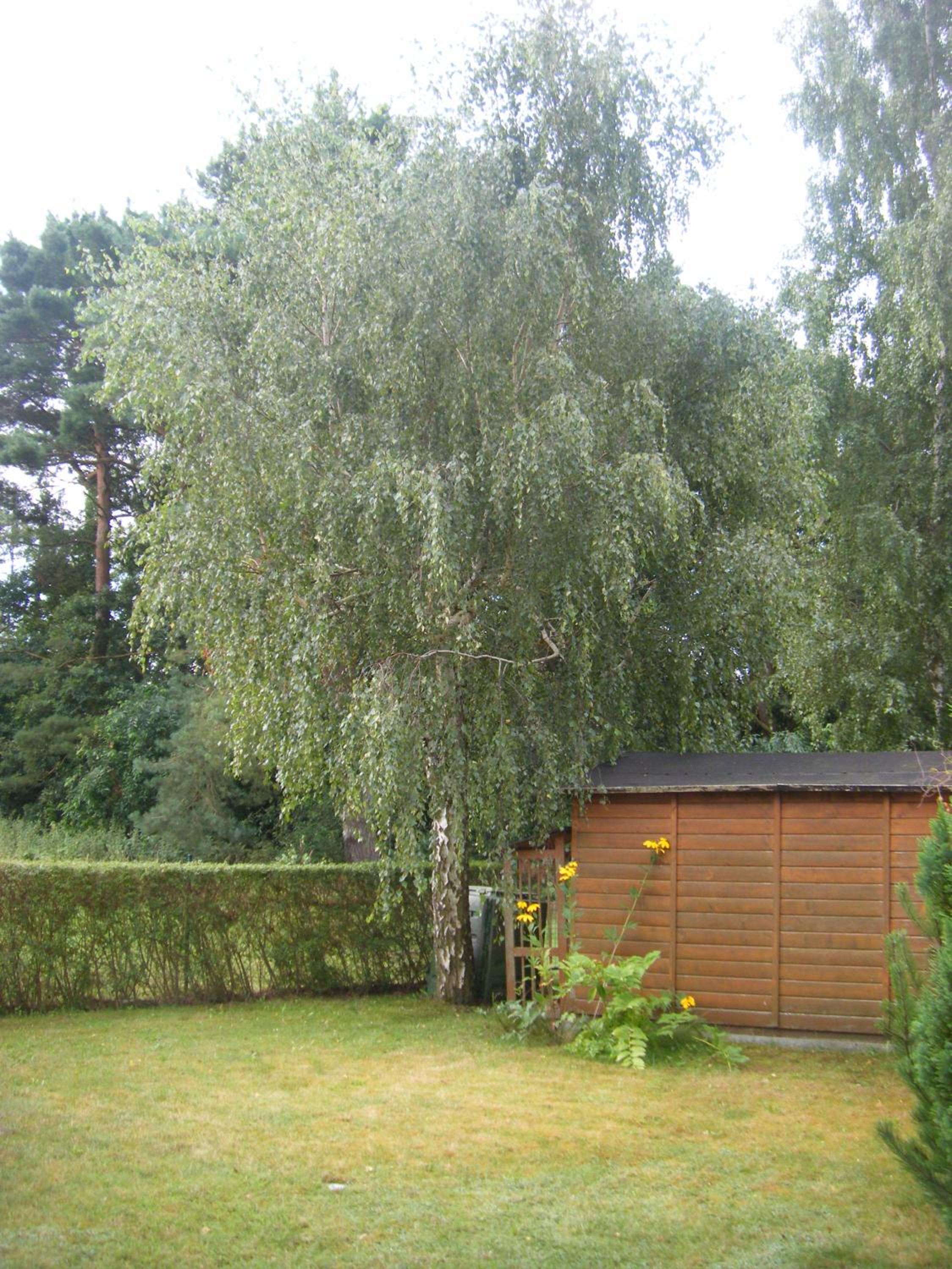 Two-Bedroom House photo 3