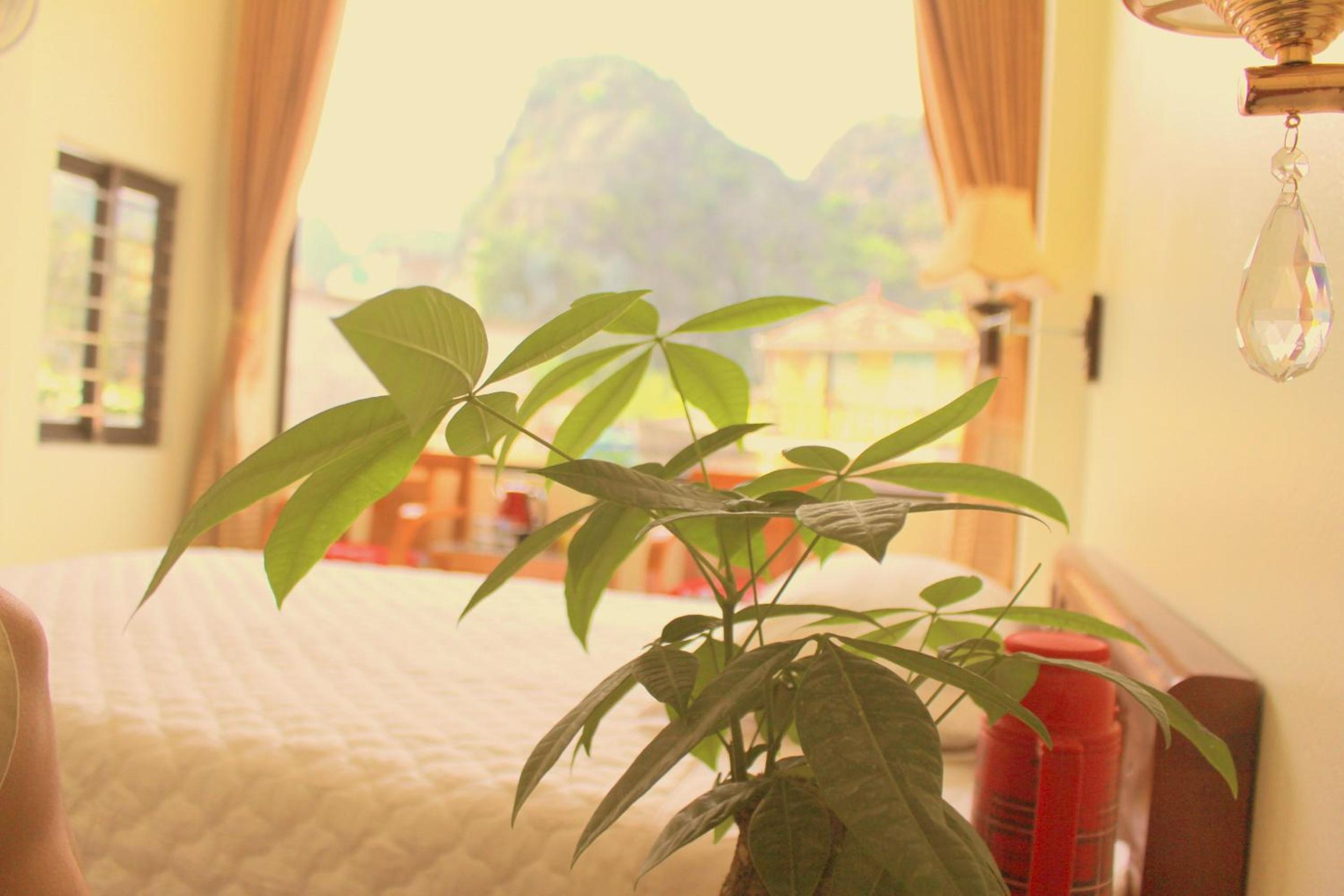 Superior Double or Twin Room with Mountain View photo 1