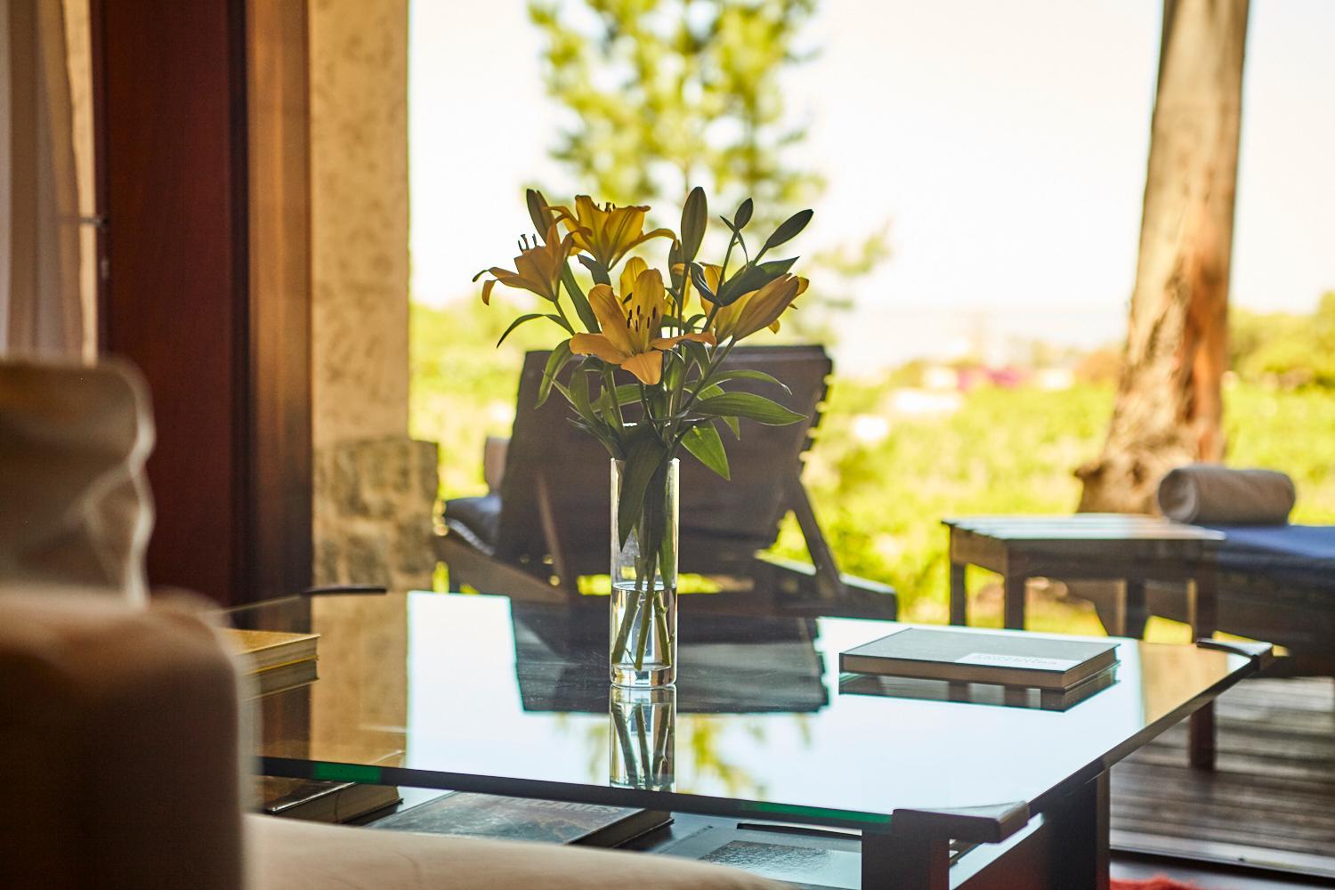 Balcony & Terrace