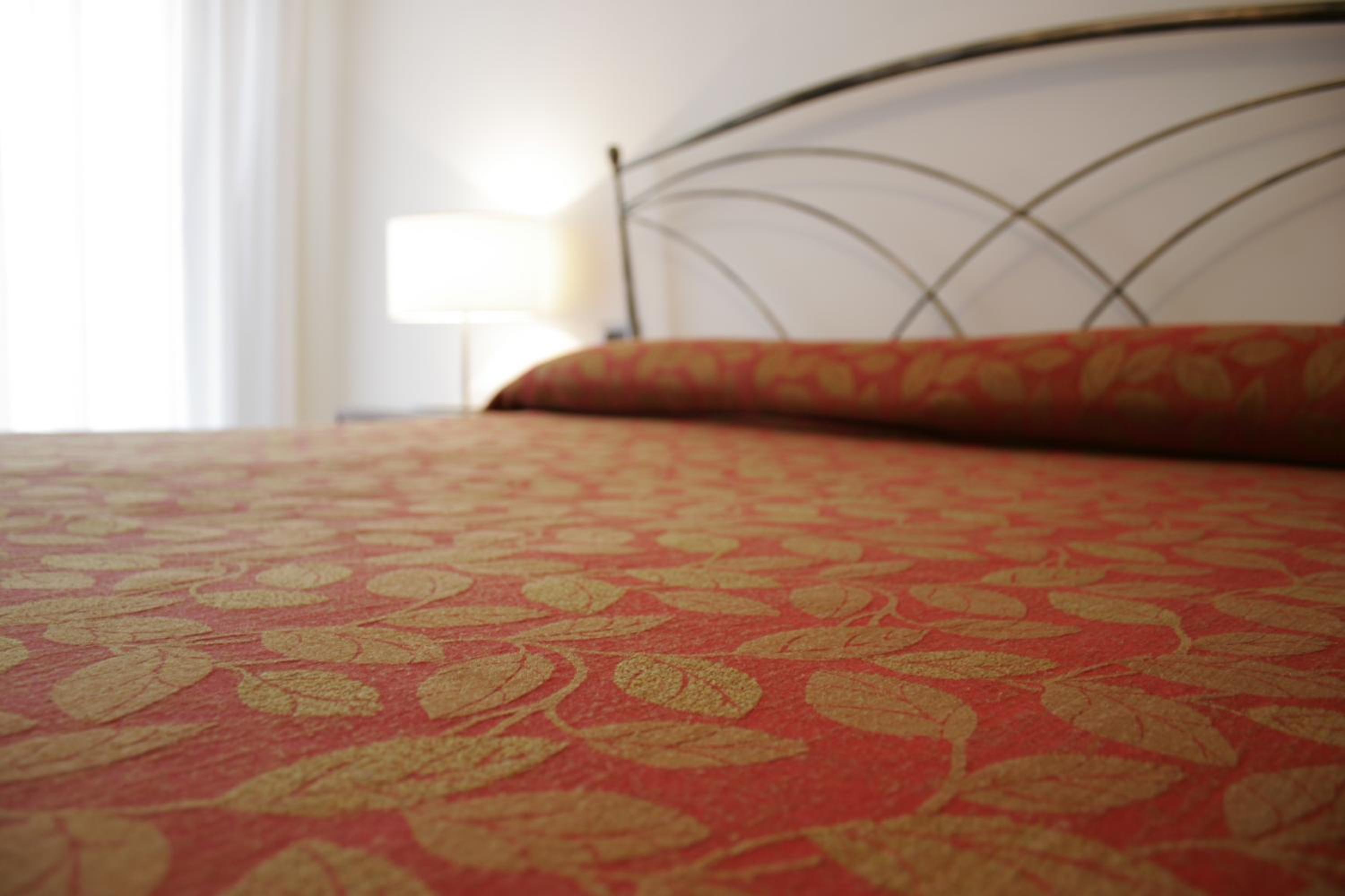 Single Room - Photo 2
