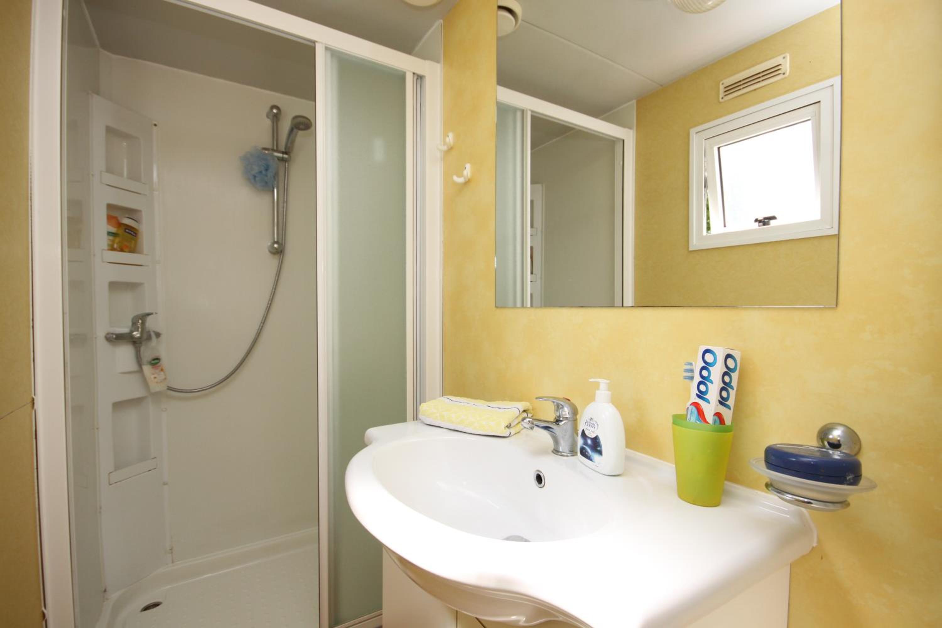 Mobile Home photo 3