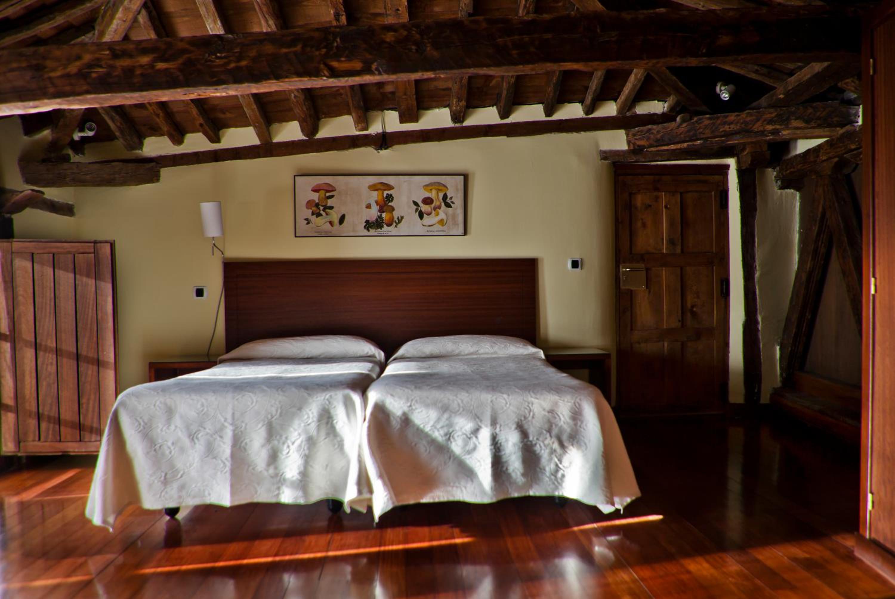 Twin Room photo 3