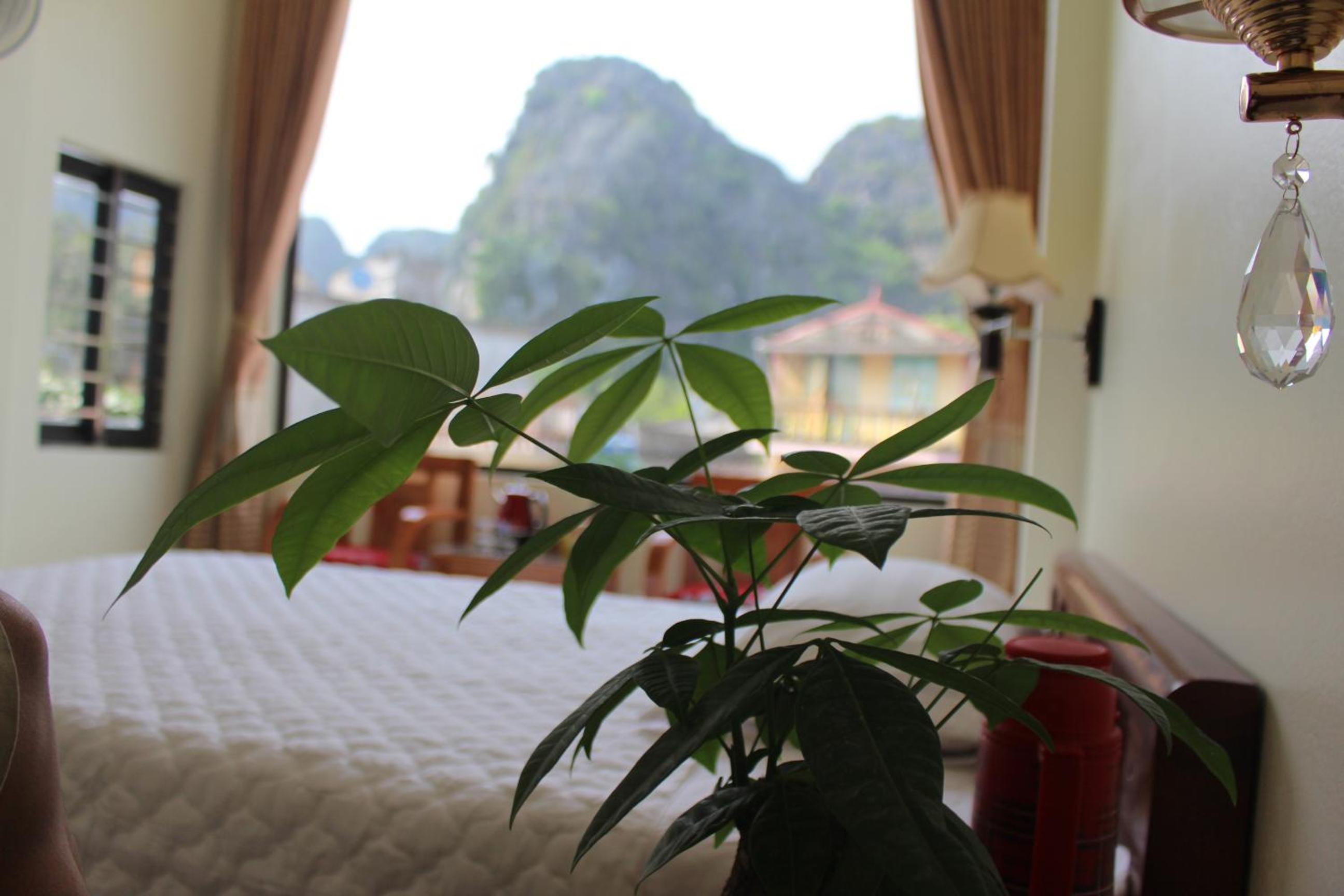 Superior Double or Twin Room with Mountain View photo 3