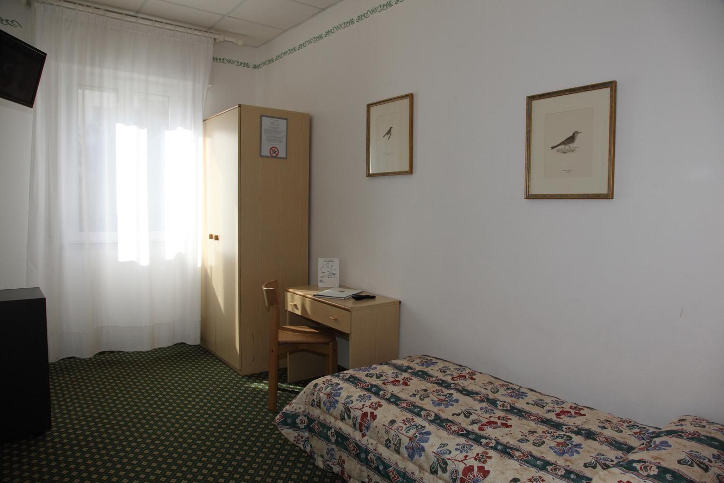 Single Room photo 1