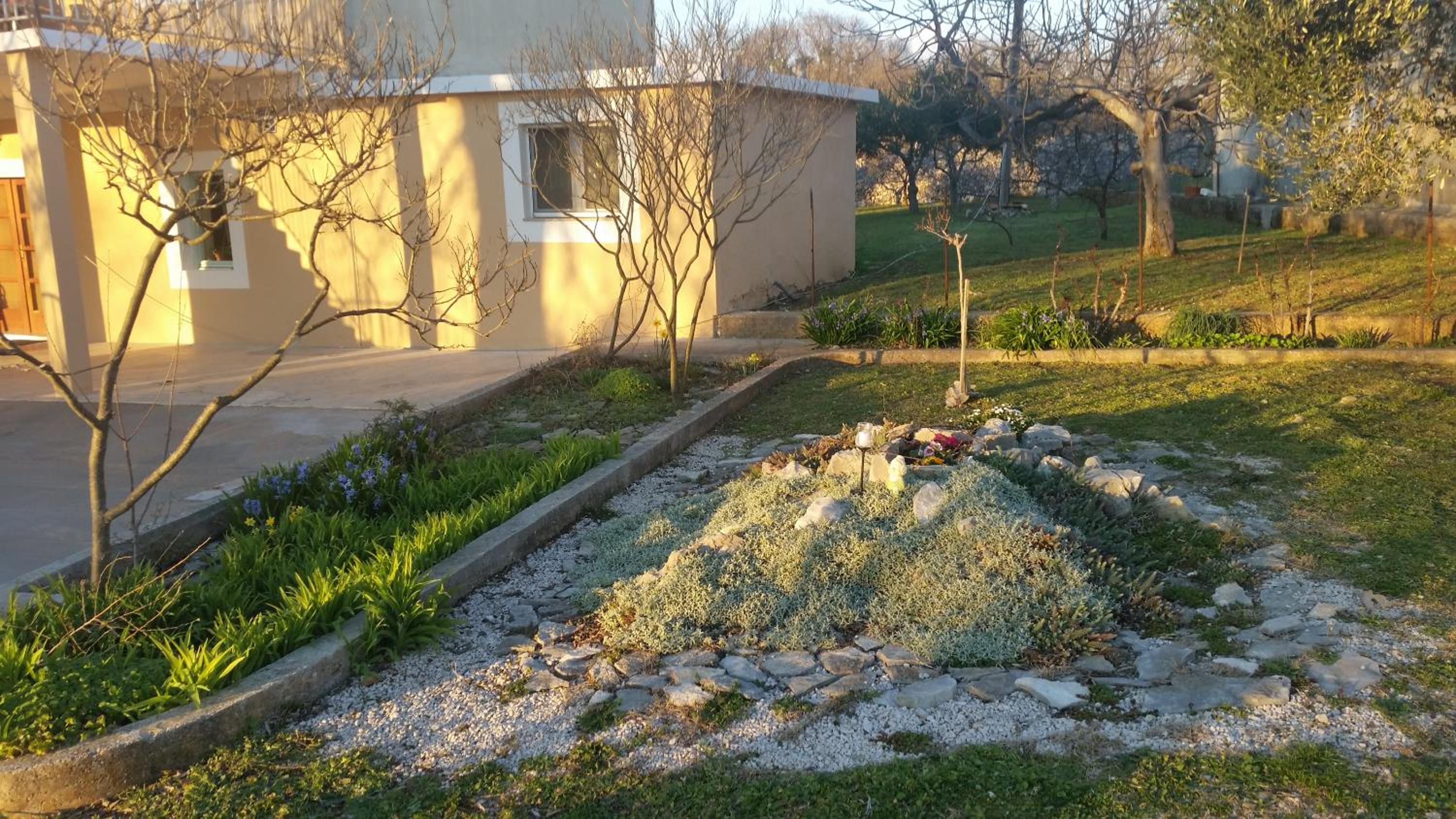 Apartment - Ground Floor photo 3