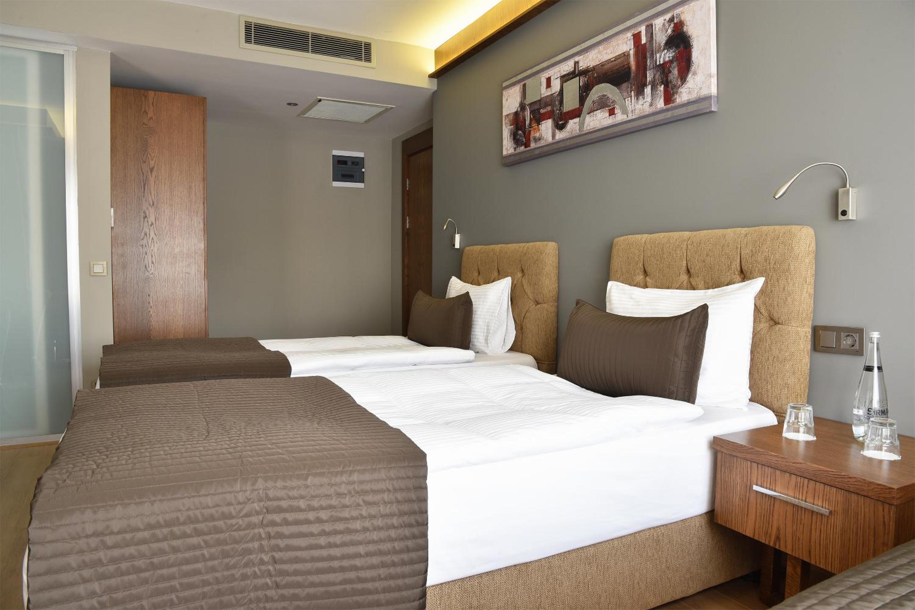 Deluxe Twin Room photo 3