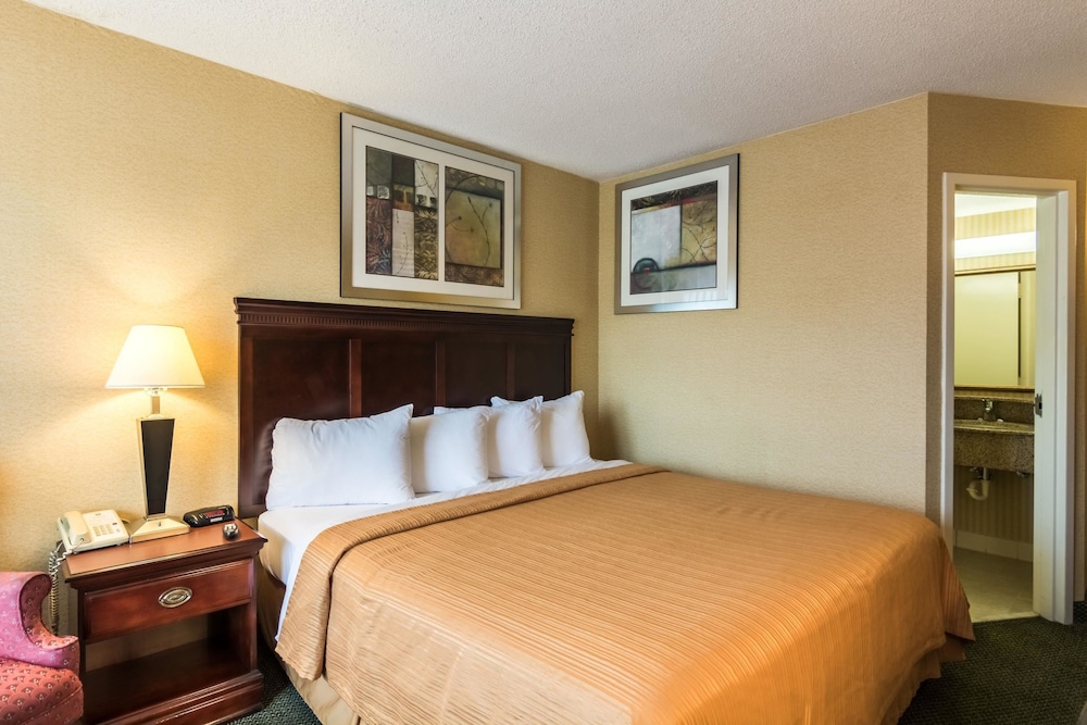 Standard Room, 1 King Bed, Non Smoking - Photo 4