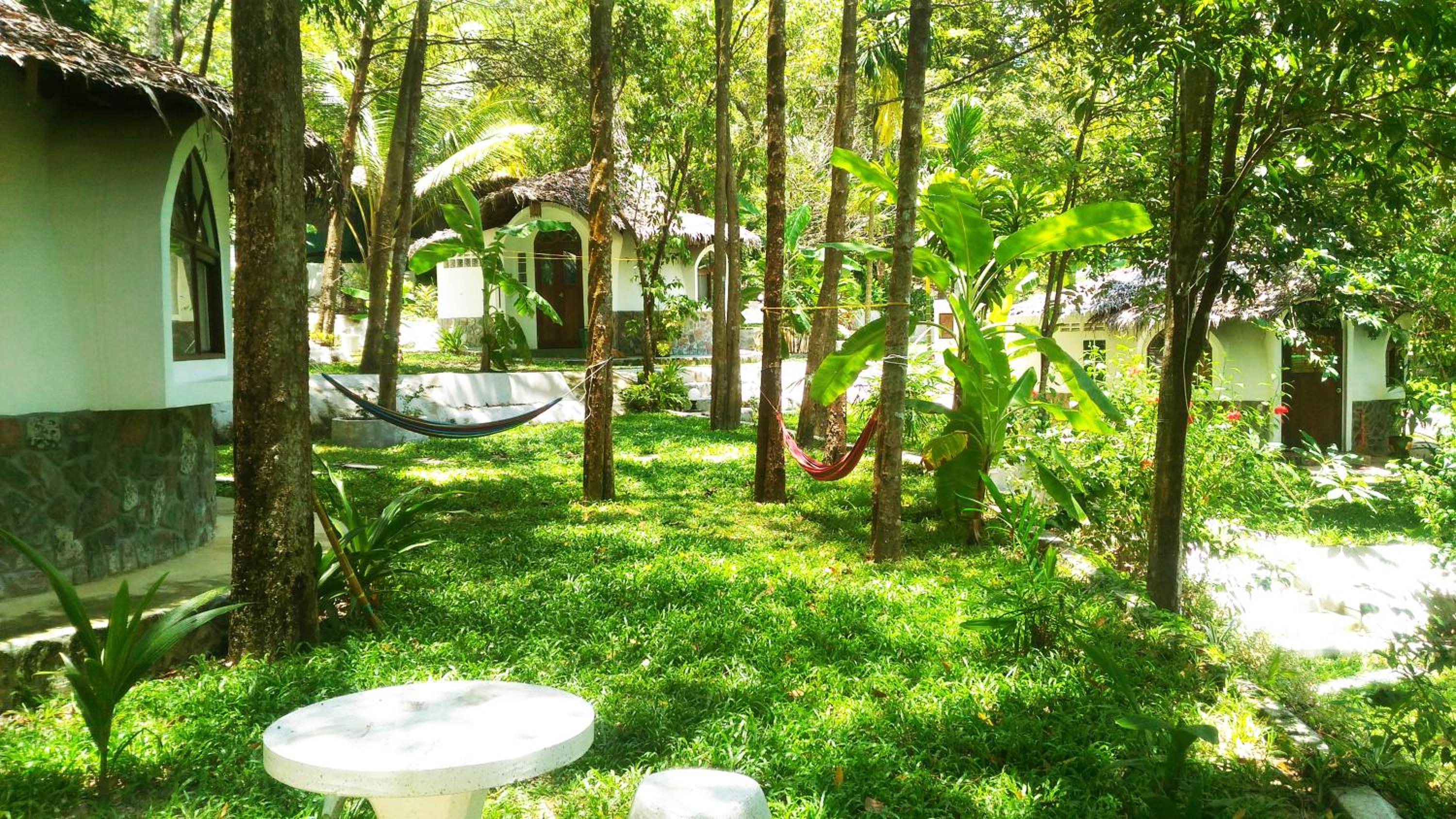 Deluxe Bungalow with Garden View photo 3